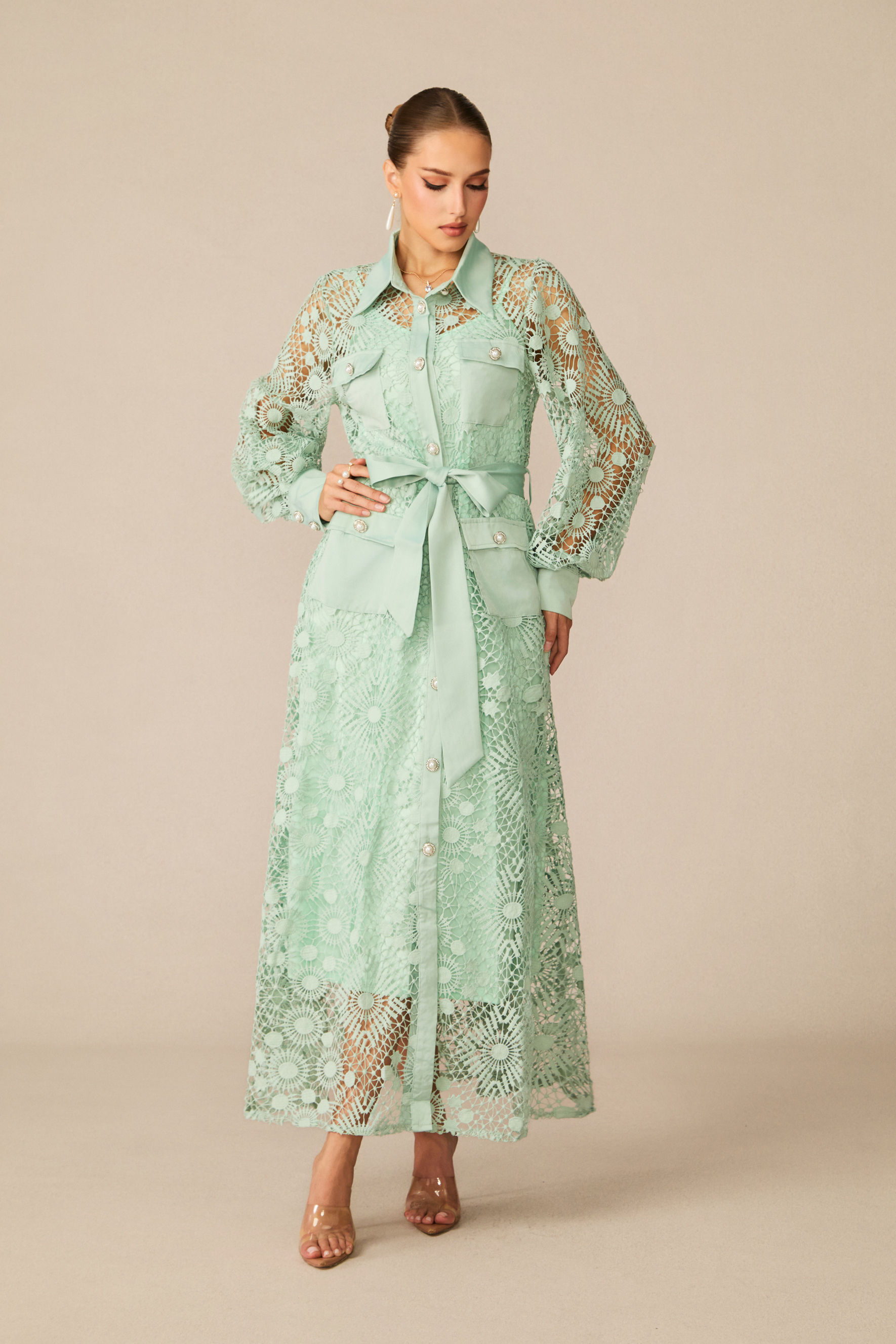 Rosa Sheer Lace Long Sleeve Maxi Dress
