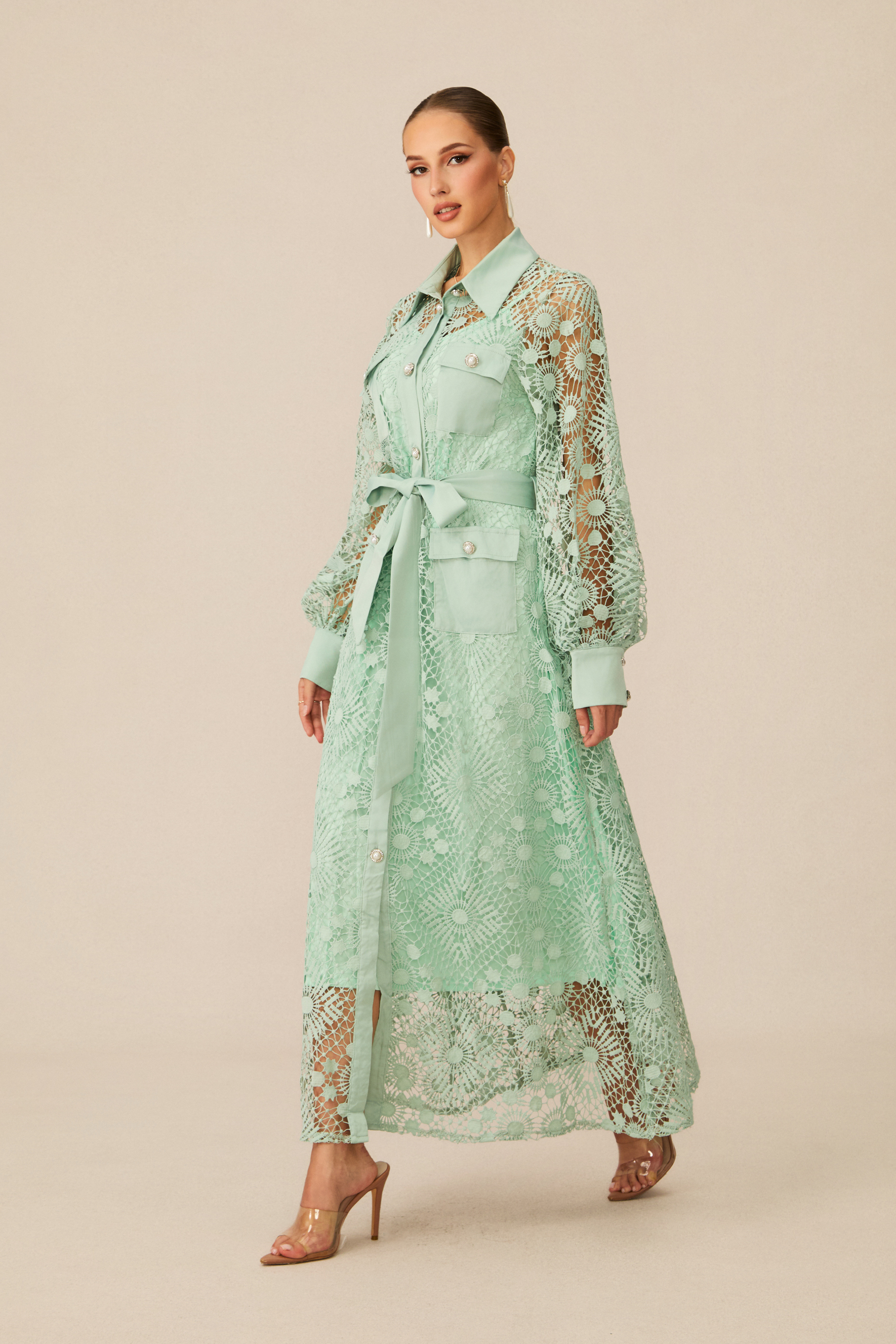 Rosa Sheer Lace Long Sleeve Maxi Dress