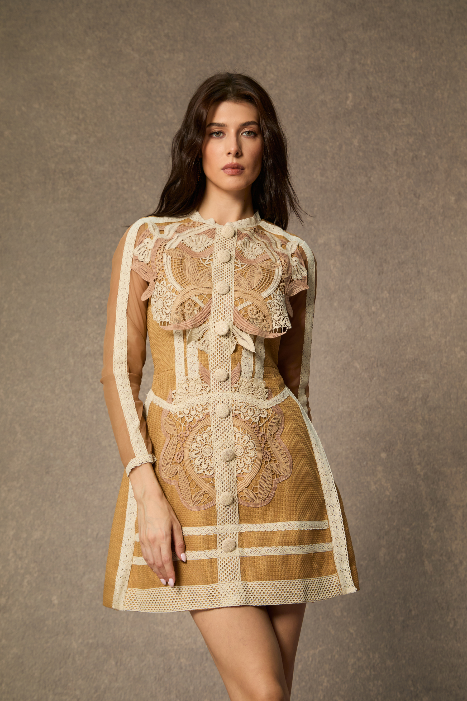 Virginia Embroidery Lace Long Sleeve Mini Dress