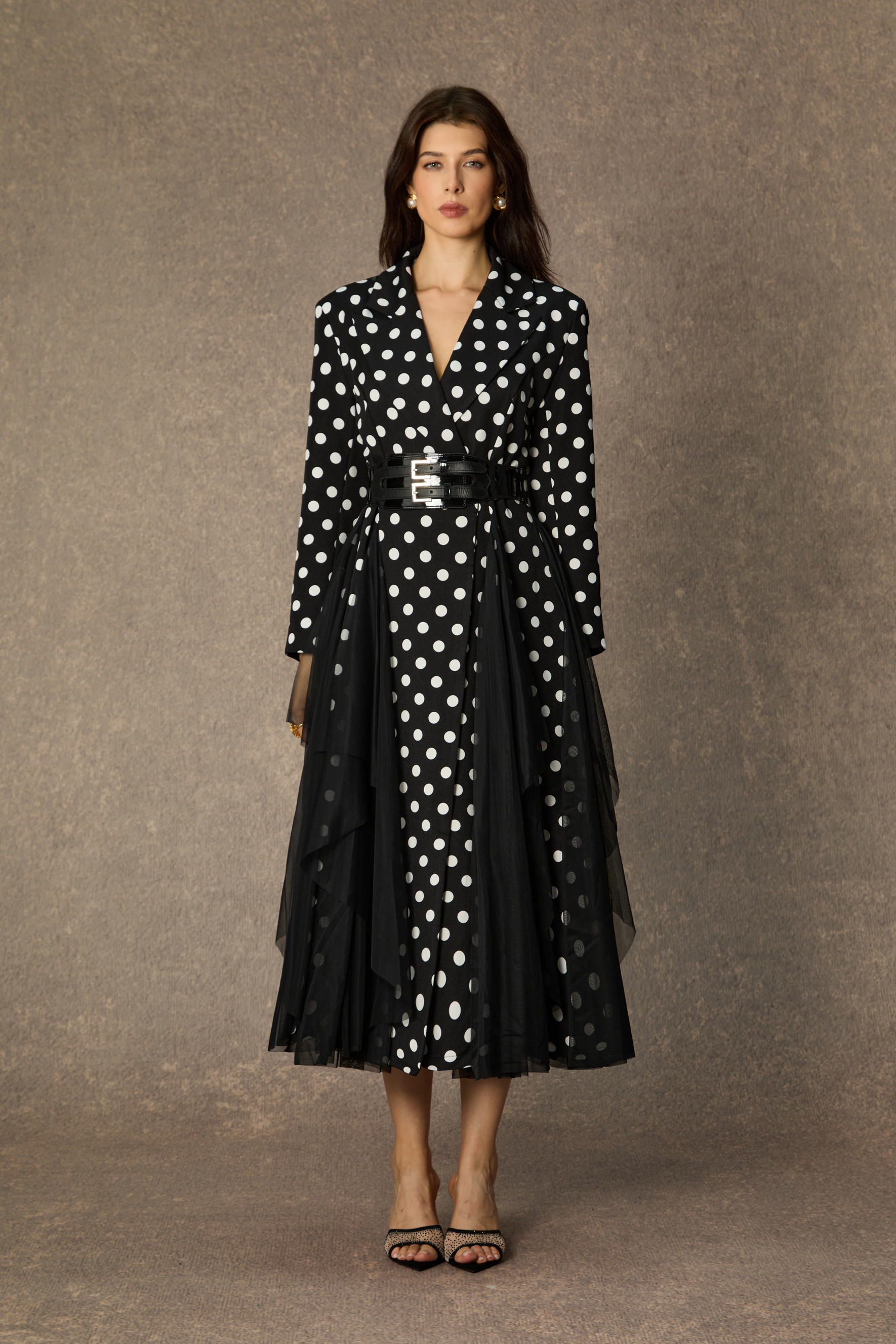 Captivating Aesthetic Black Polka Dot Organza Midi Dress