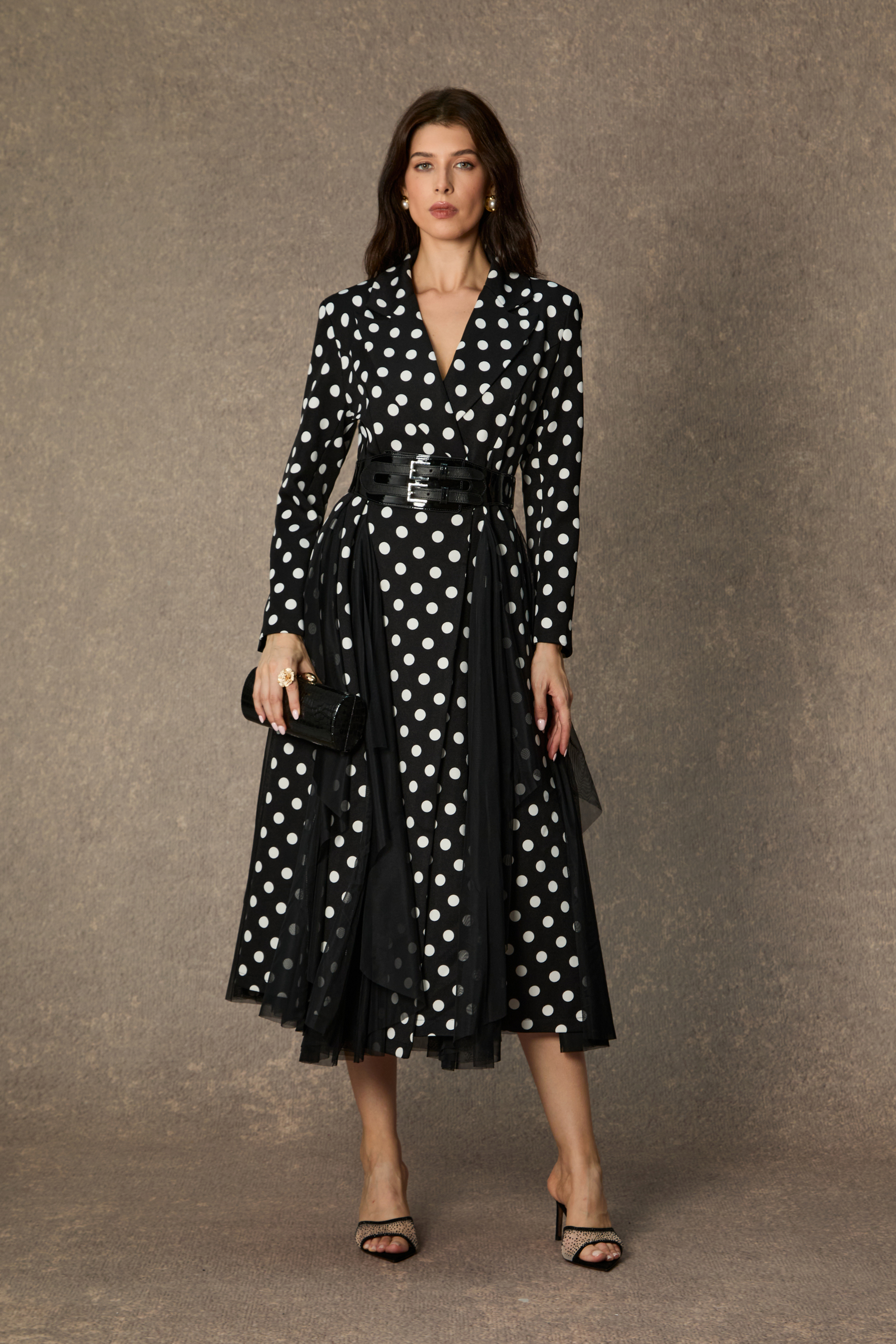 Captivating Aesthetic Black Polka Dot Organza Midi Dress