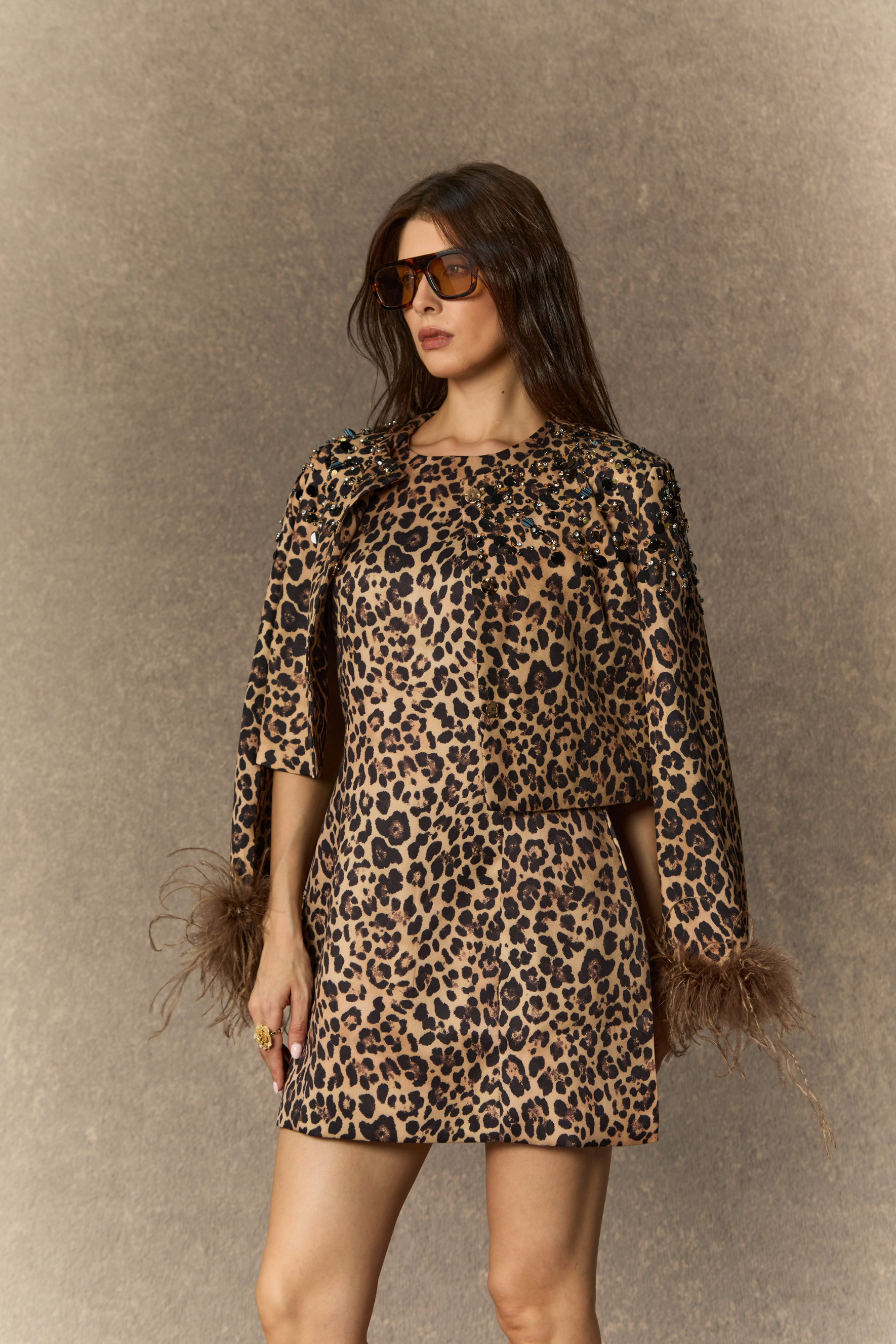 Wild Love Brown Leopard Print Crop Jacket & Mini Dress Set
