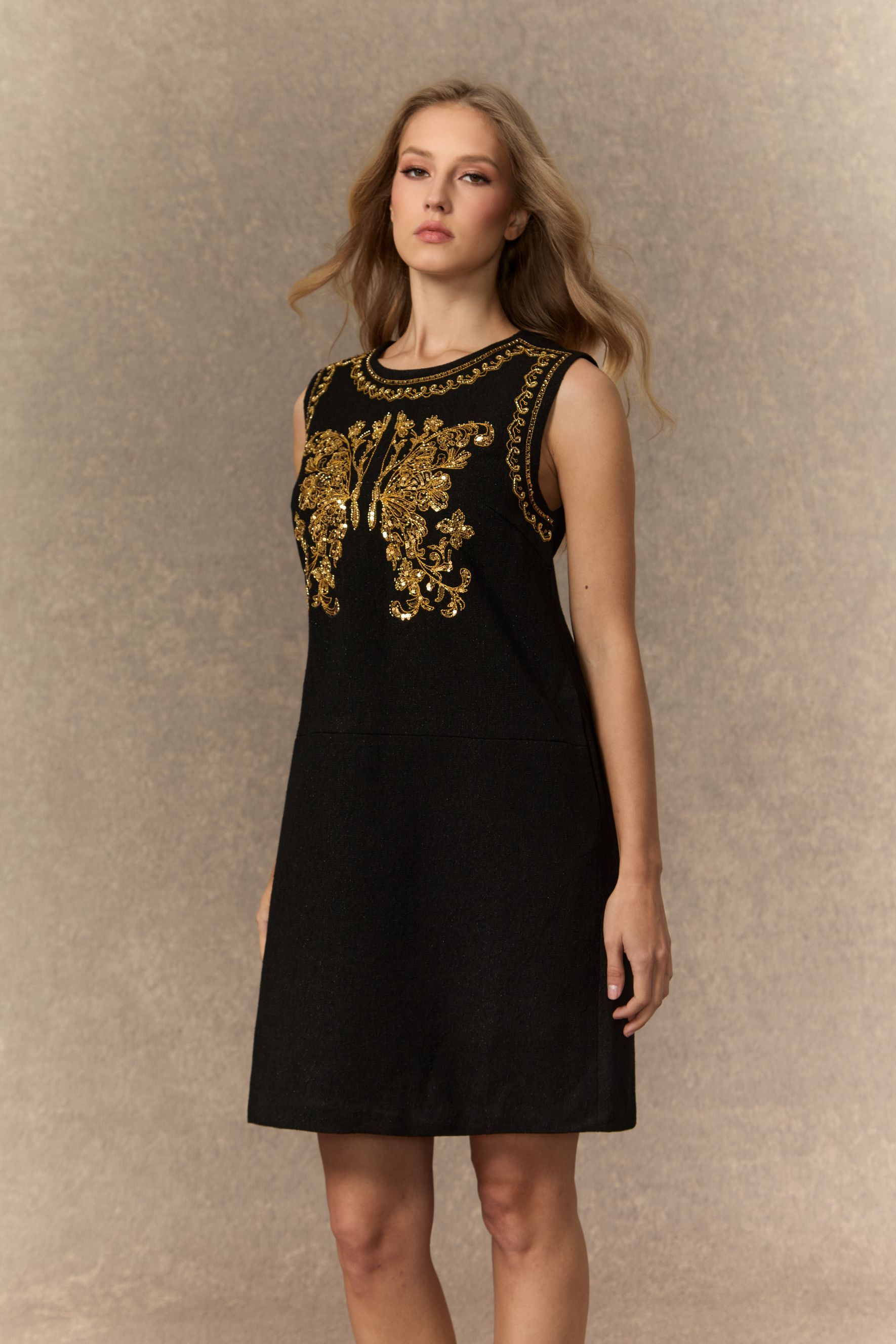 Whispered Luxury Black Butterfly Embroidered Mini Dress