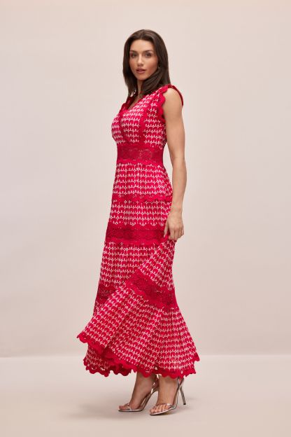 Louisa V-neck Embroidered Lace Maxi Dress