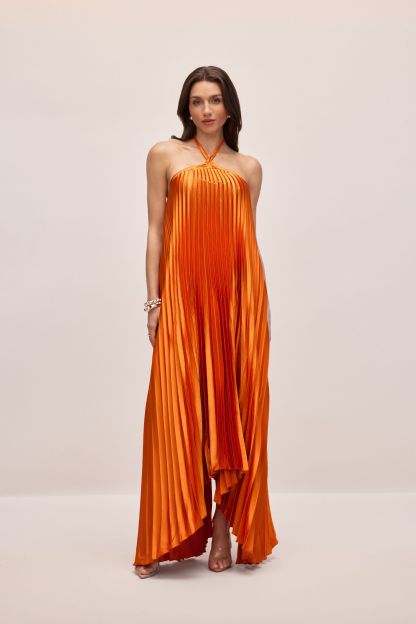 Novia Halter Neck Pleated Maxi Dress