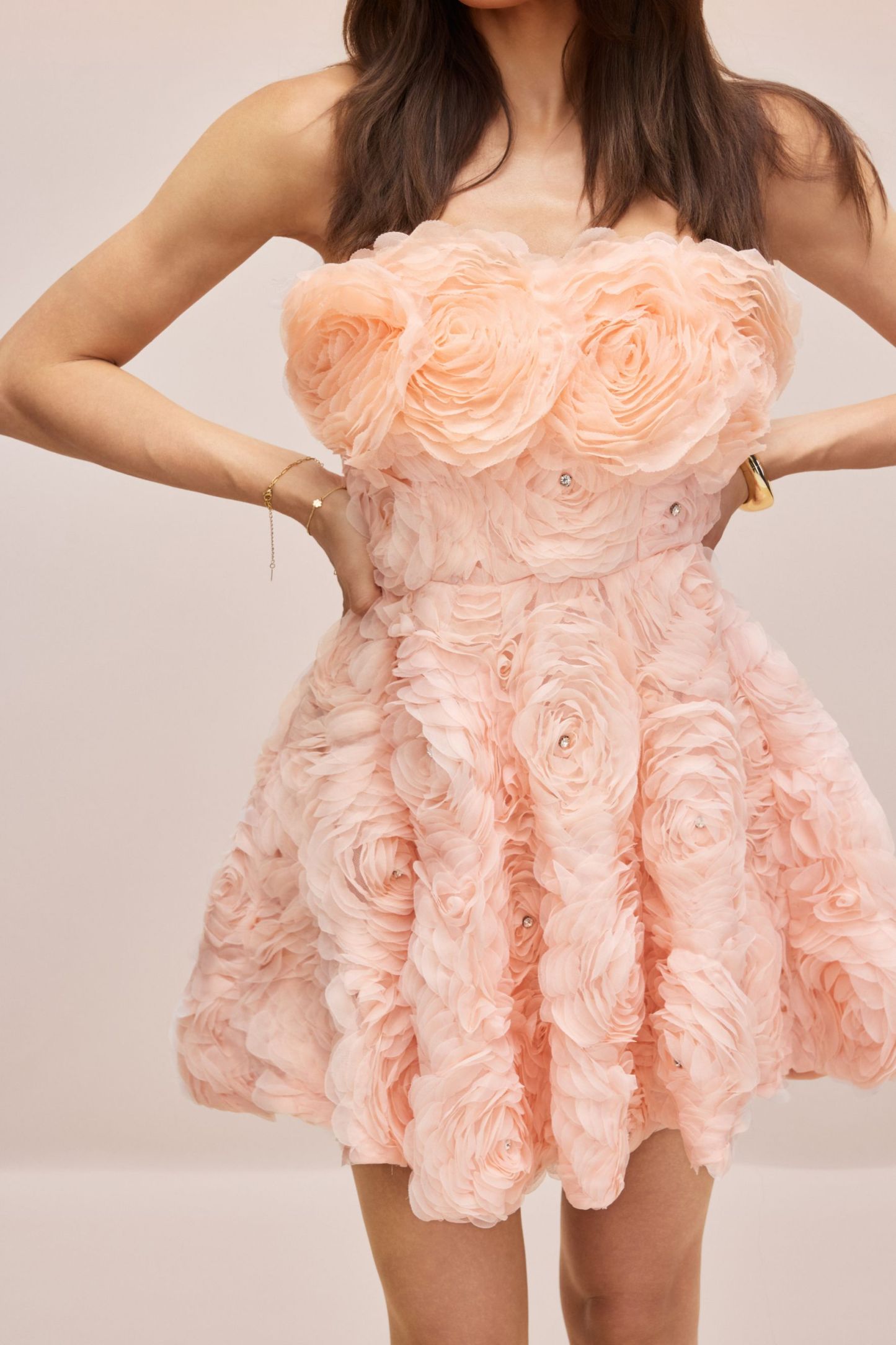 Monica Rose Applique Strapless Mini Dress