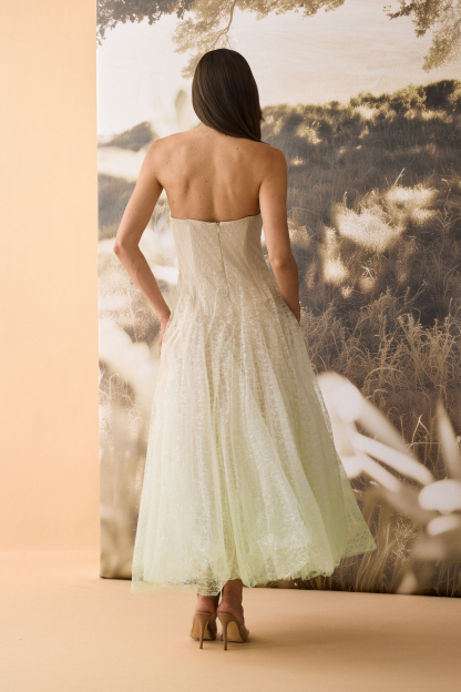 Rosanne Strapless Crinkled Tulle Maxi Dress