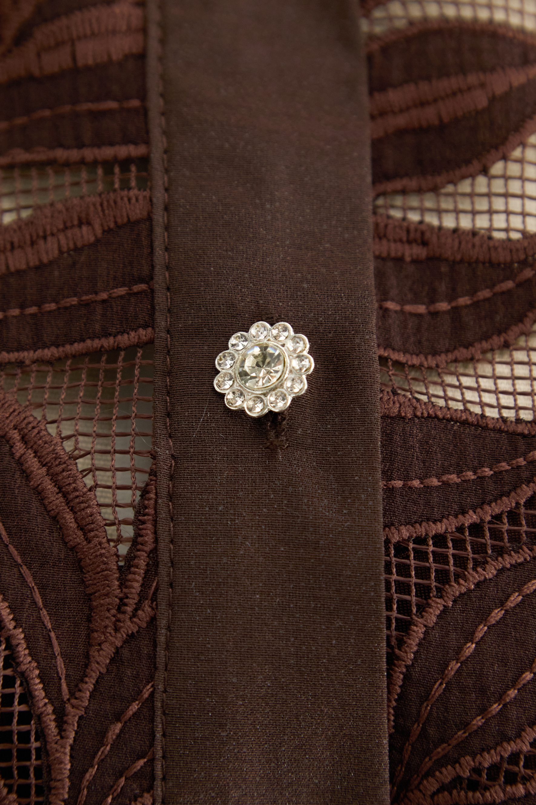 Breezy Wanderings Brown Leaf Embroidered Puff Sleeve Maxi Dress