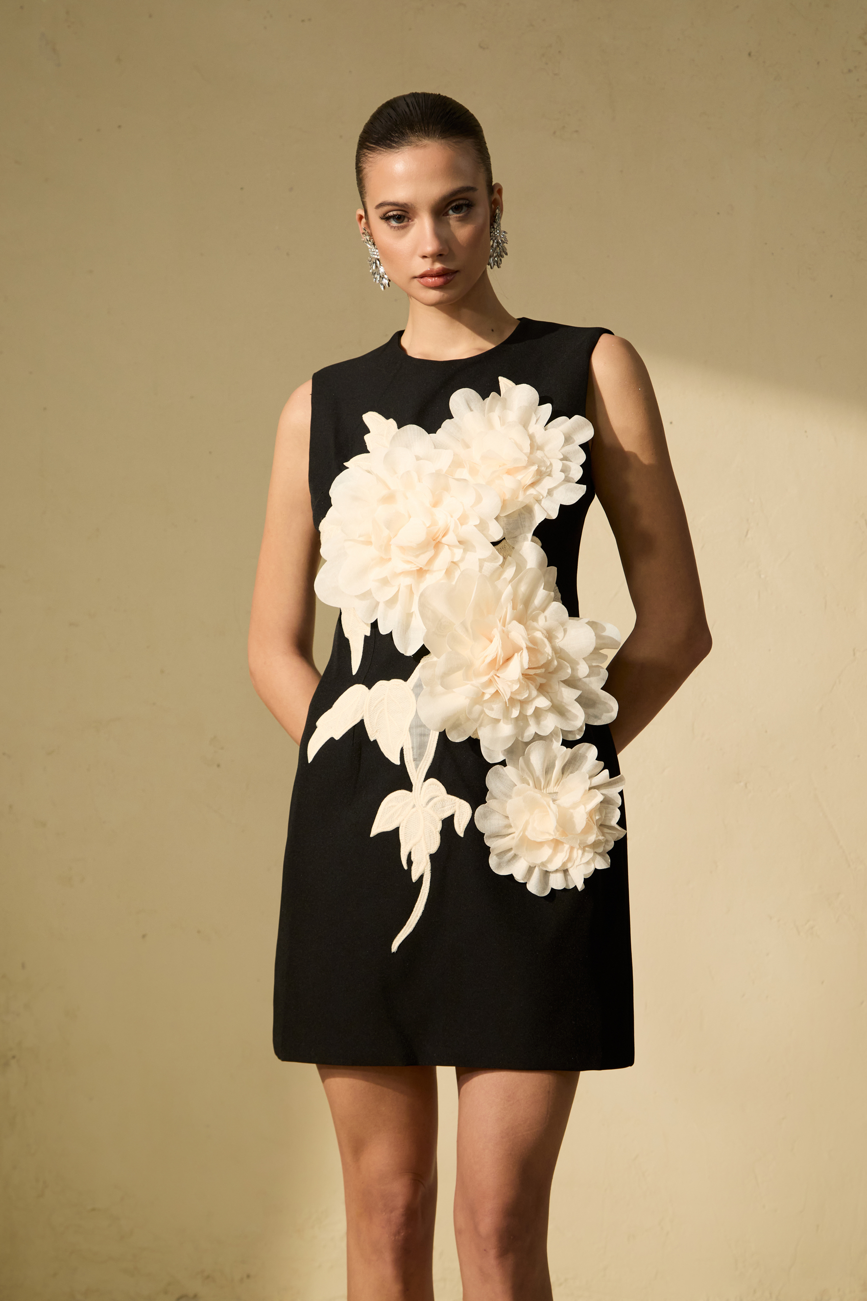 Dreamy Presence Black Floral Applique Sleeveless Mini Dress