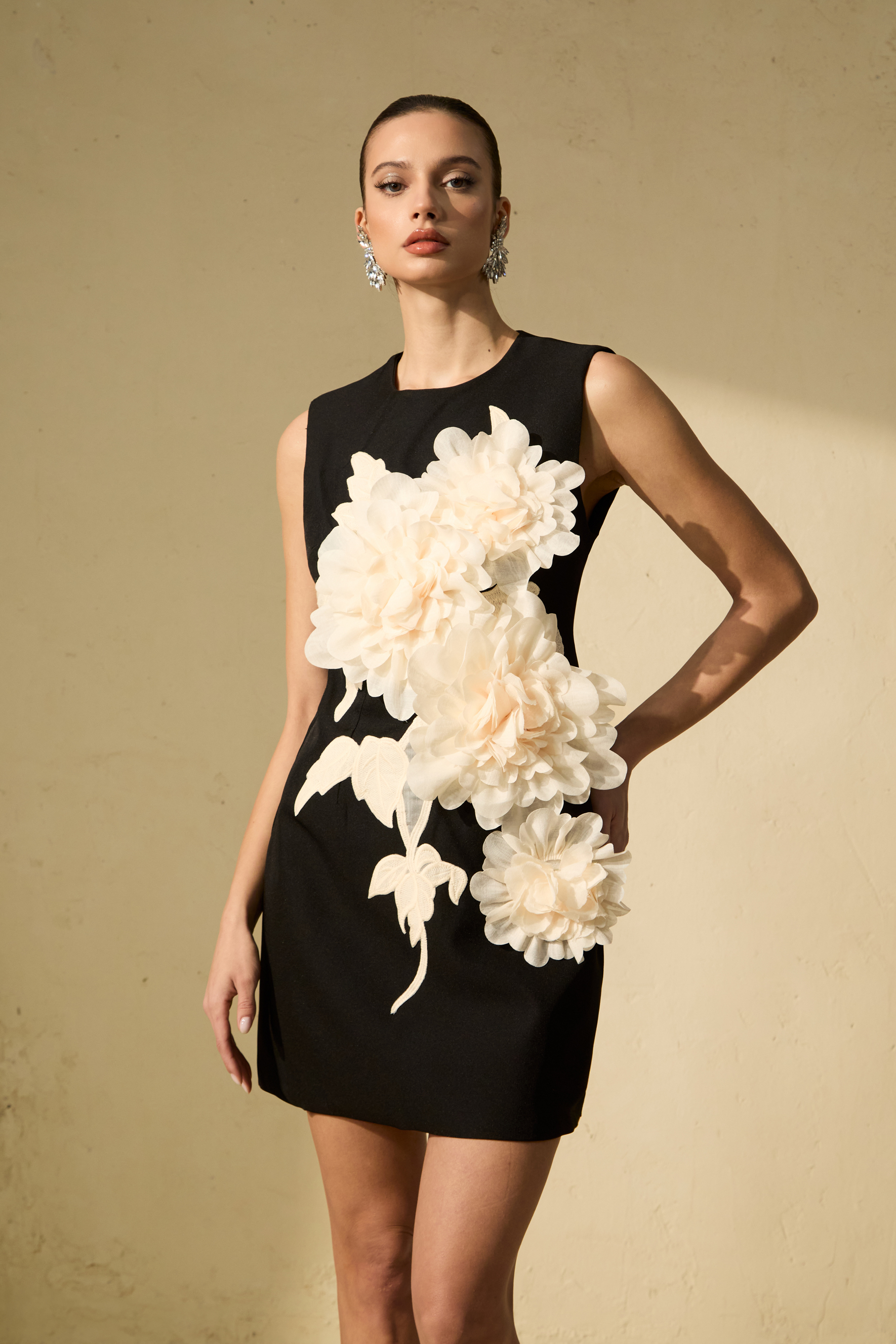 Dreamy Presence Black Floral Applique Sleeveless Mini Dress