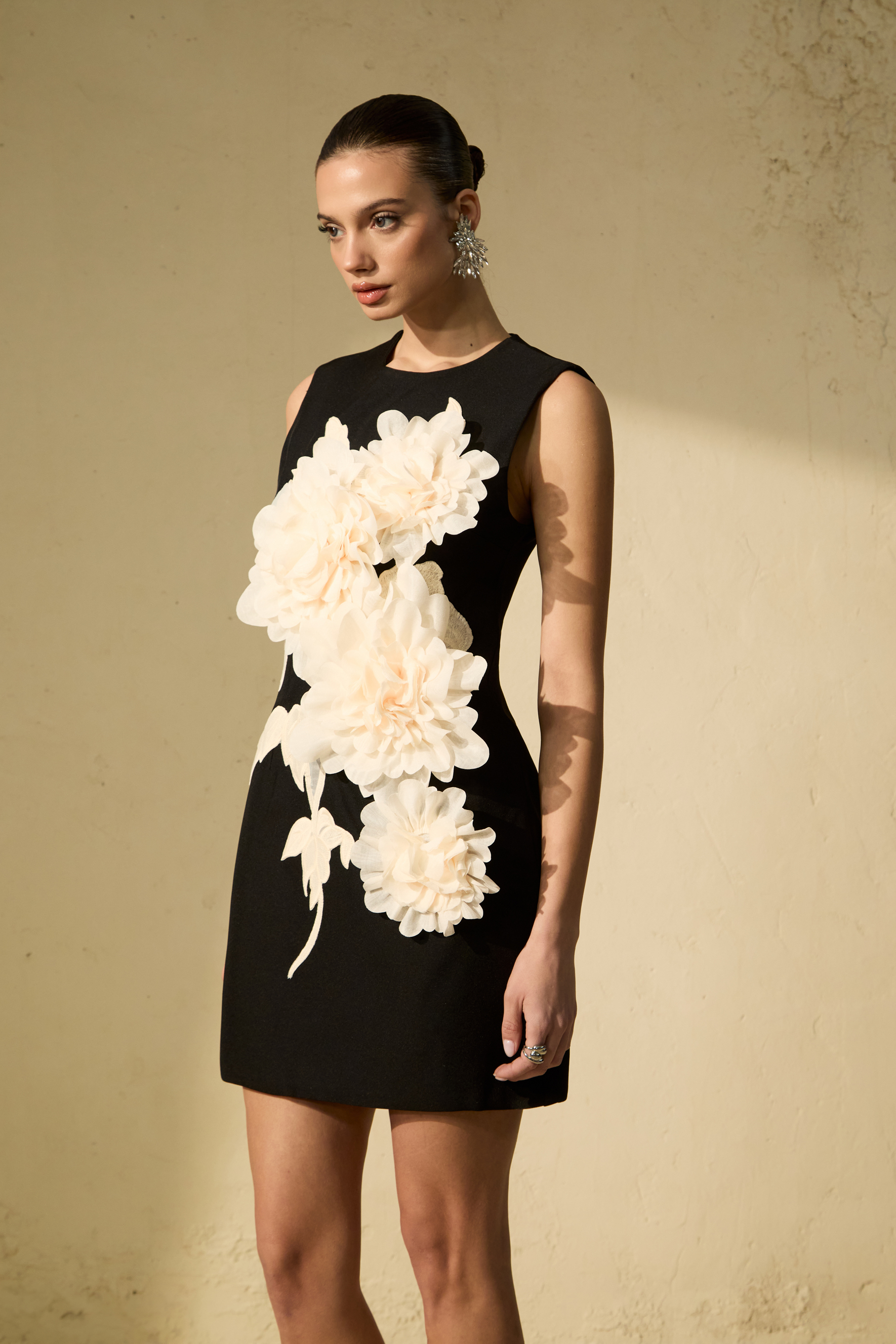 Dreamy Presence Black Floral Applique Sleeveless Mini Dress