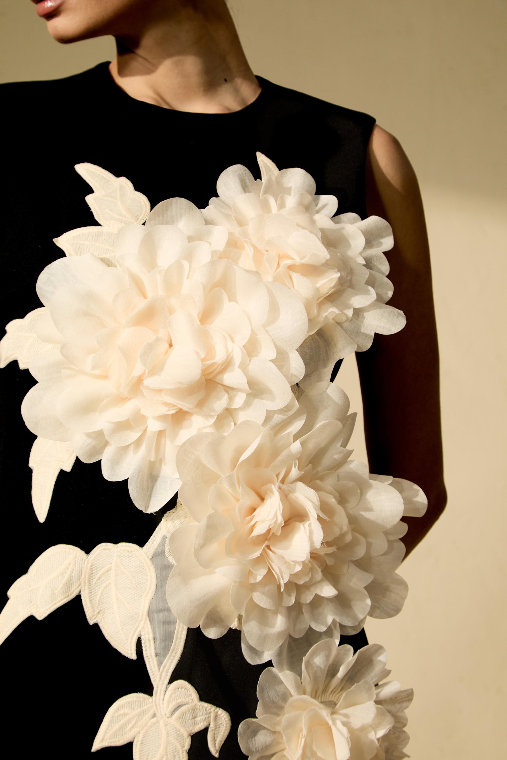 Dreamy Presence Black Floral Applique Sleeveless Mini Dress