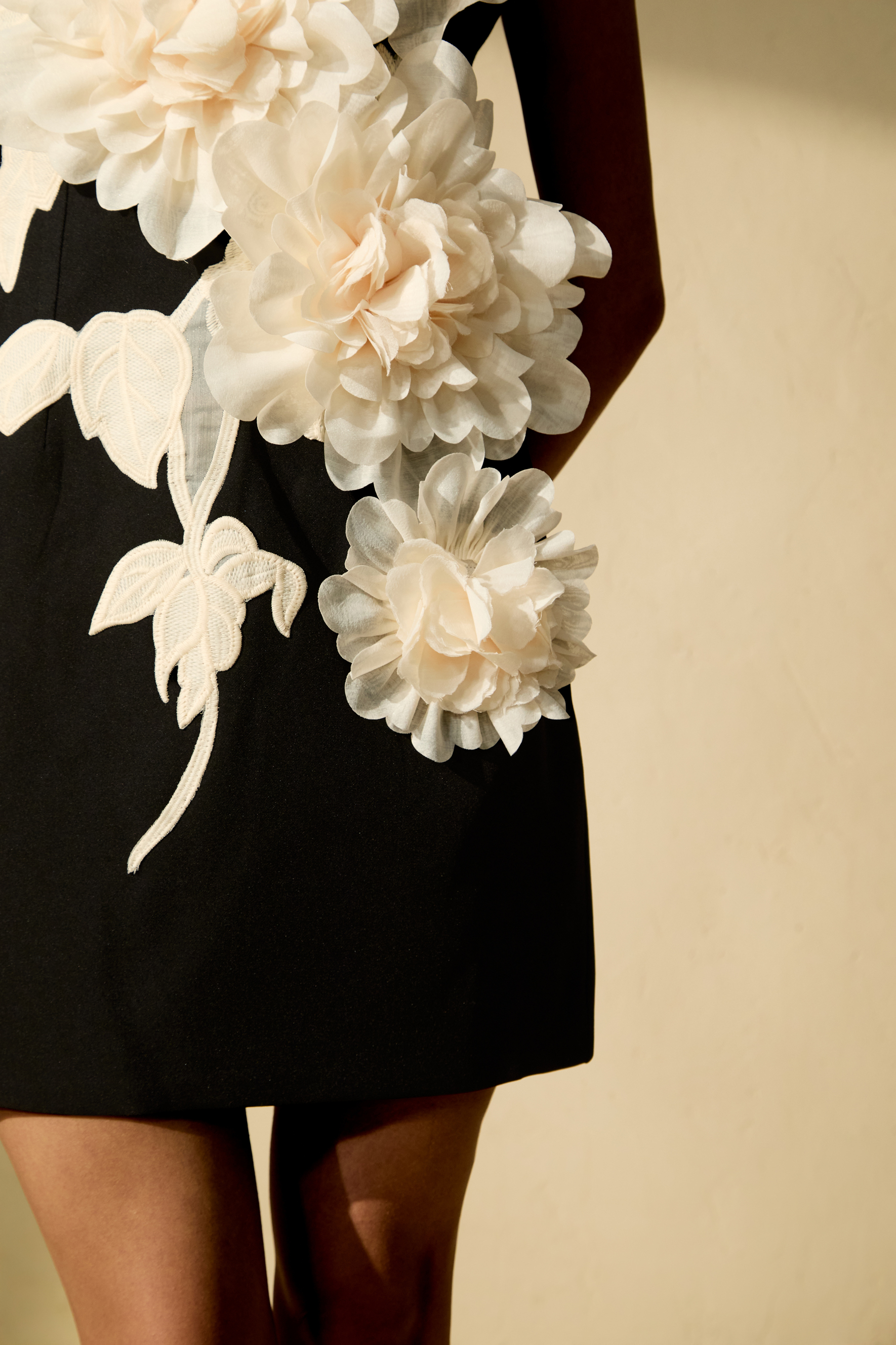 Dreamy Presence Black Floral Applique Sleeveless Mini Dress