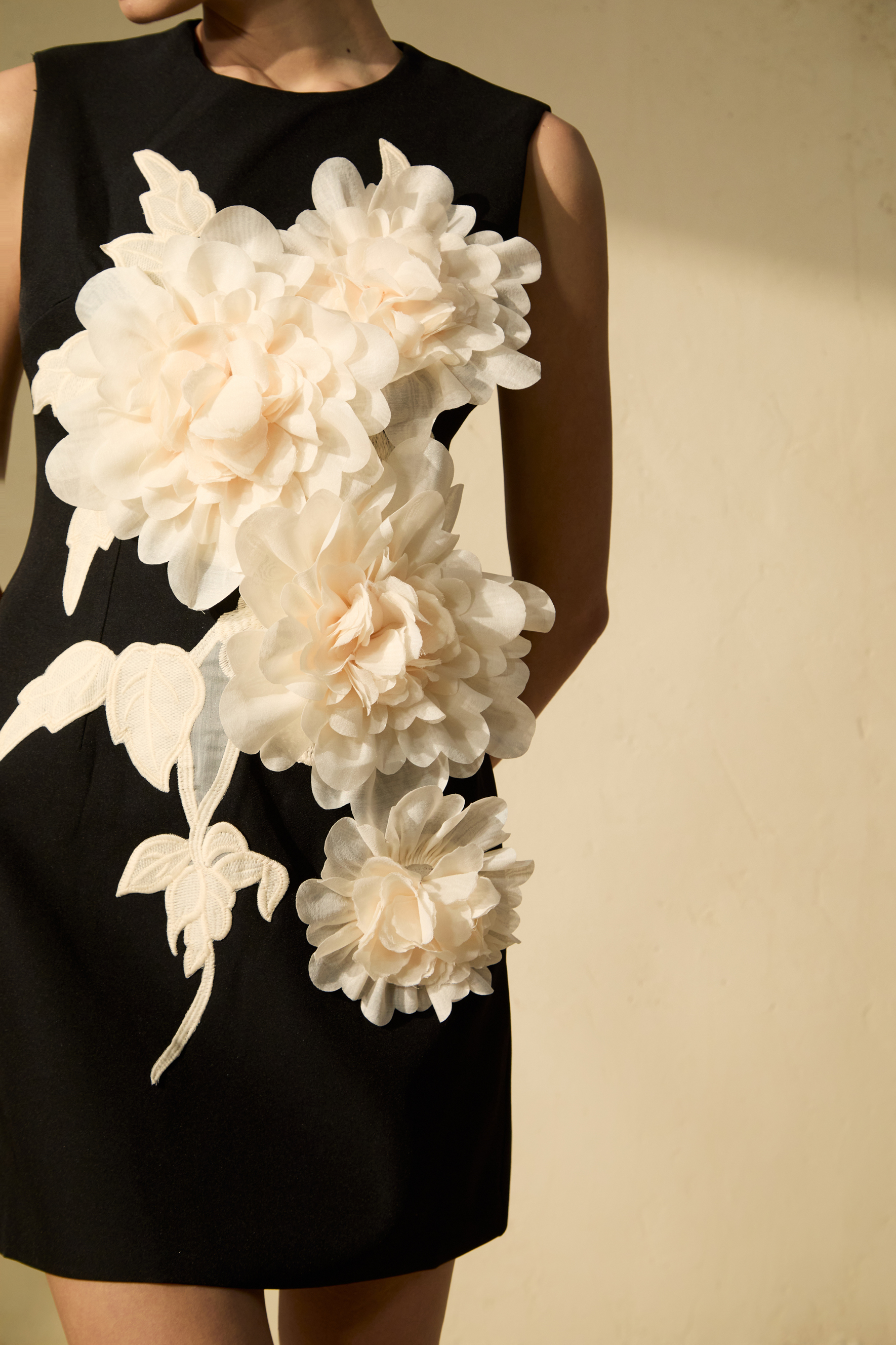 Dreamy Presence Black Floral Applique Sleeveless Mini Dress