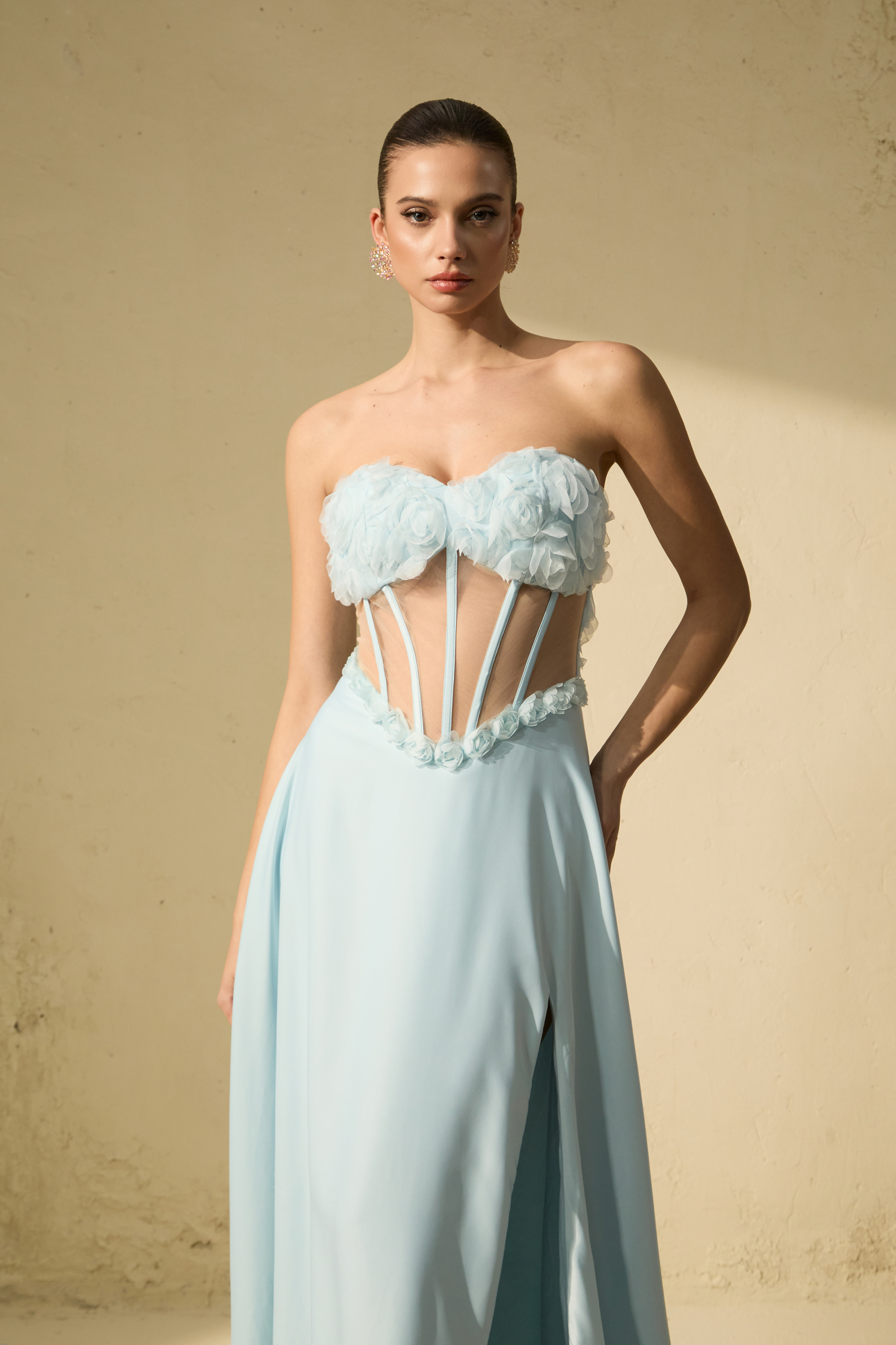 Never-Ending Glamour Blue Floral Applique Corset Maxi Dress