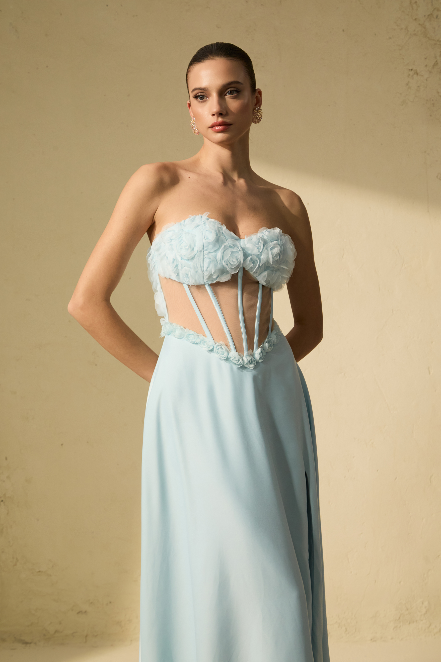 Never-Ending Glamour Blue Floral Applique Corset Maxi Dress