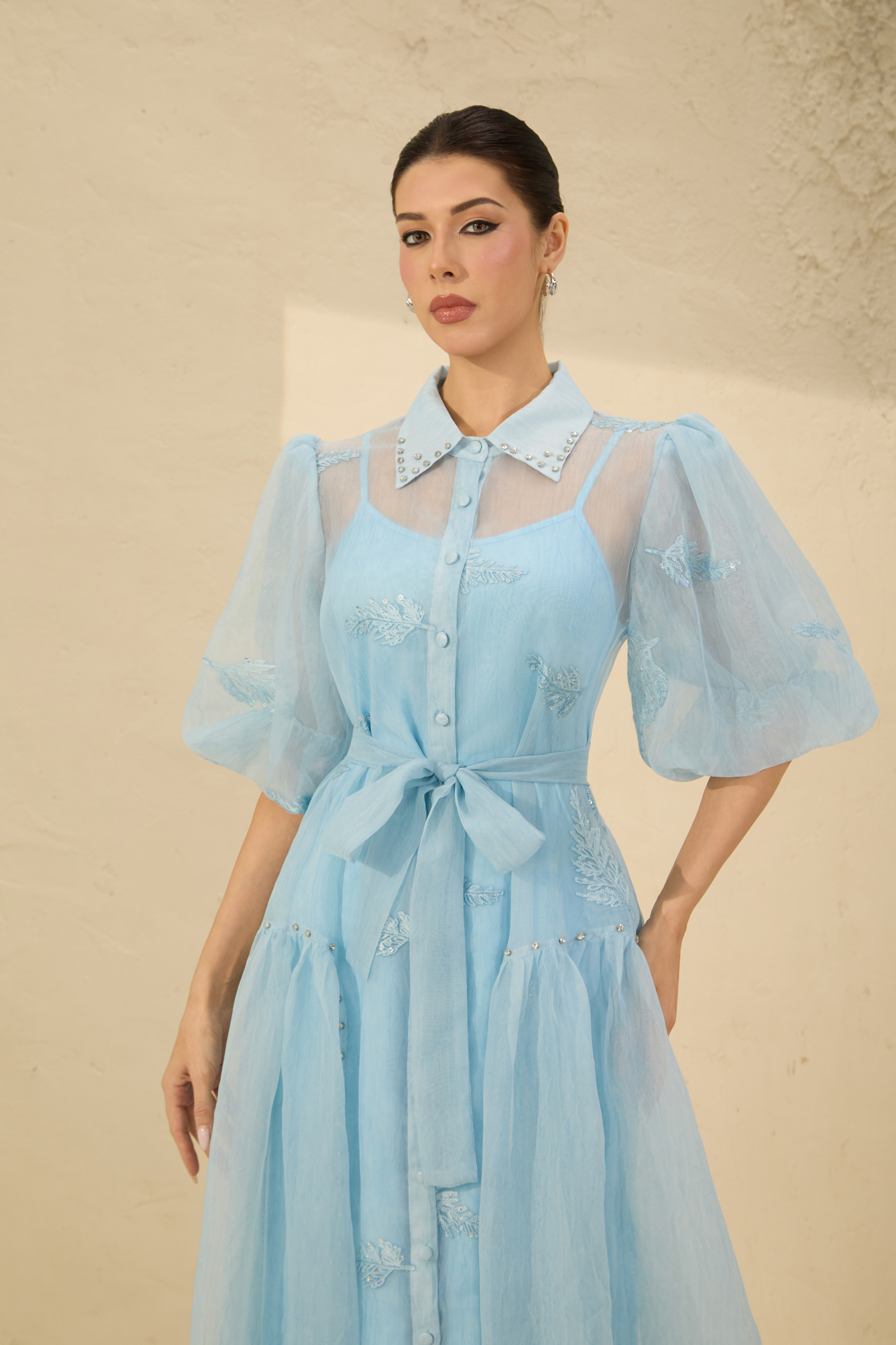 Dreamy Personality Blue Puff Sleeve Embroidered Maxi Dress