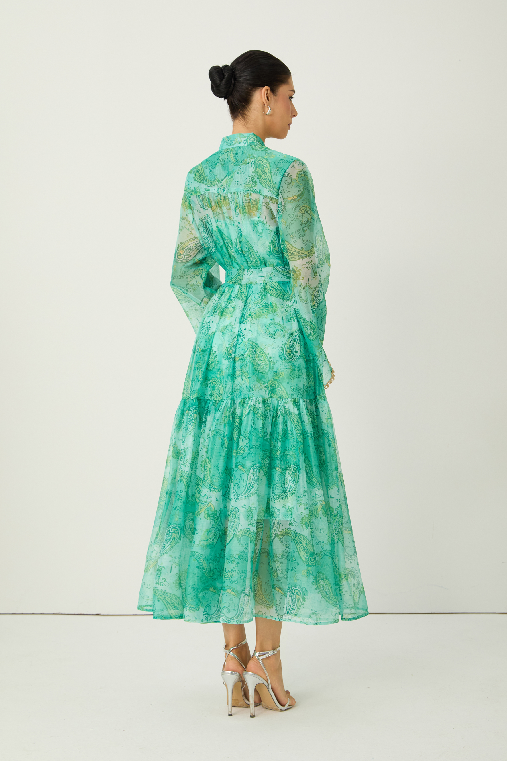 Wait For Me Green Paisley Print Long Sleeve Maxi Dress