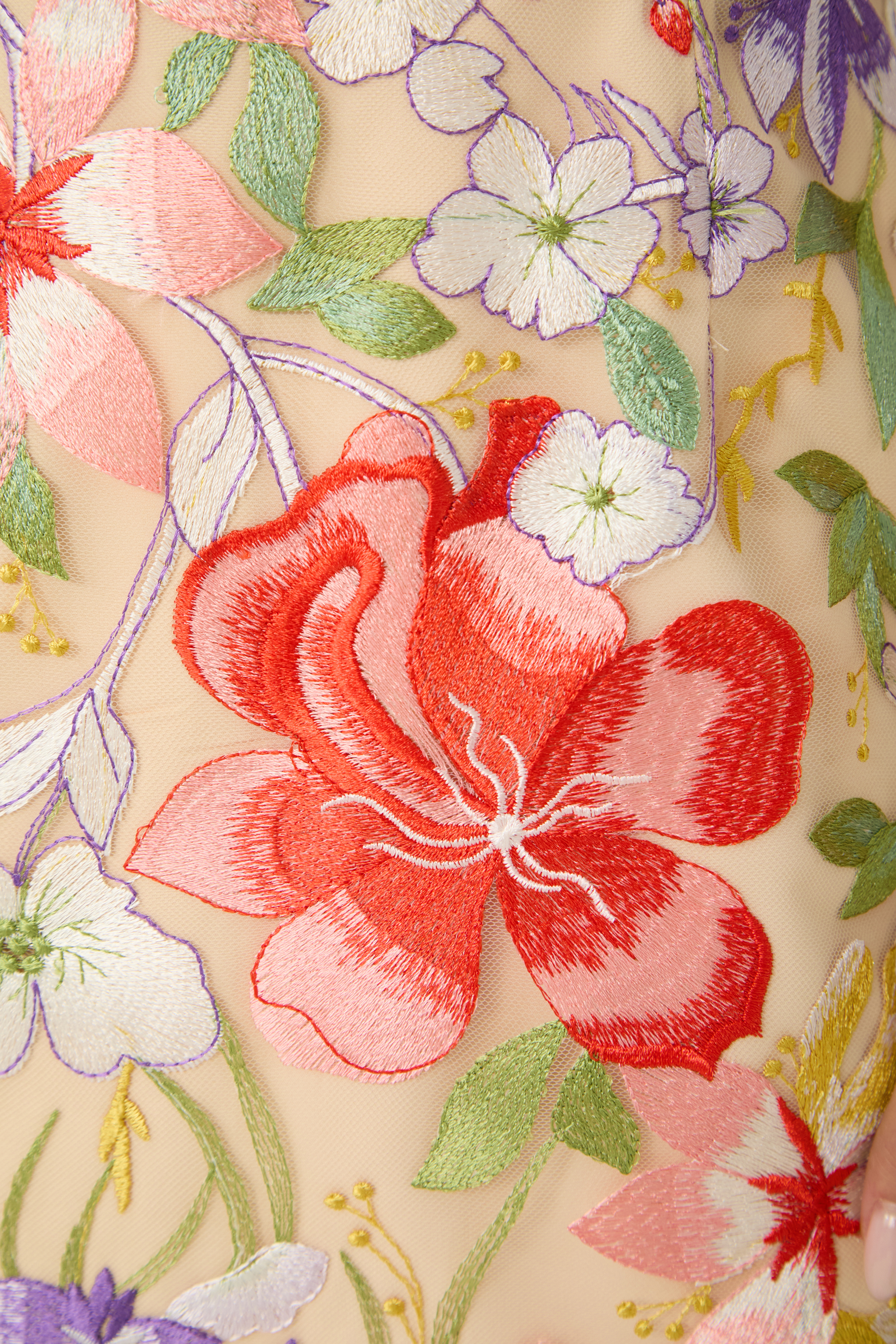 Passion And Petals Multi Floral Applique Off Shoulder Mini Dress