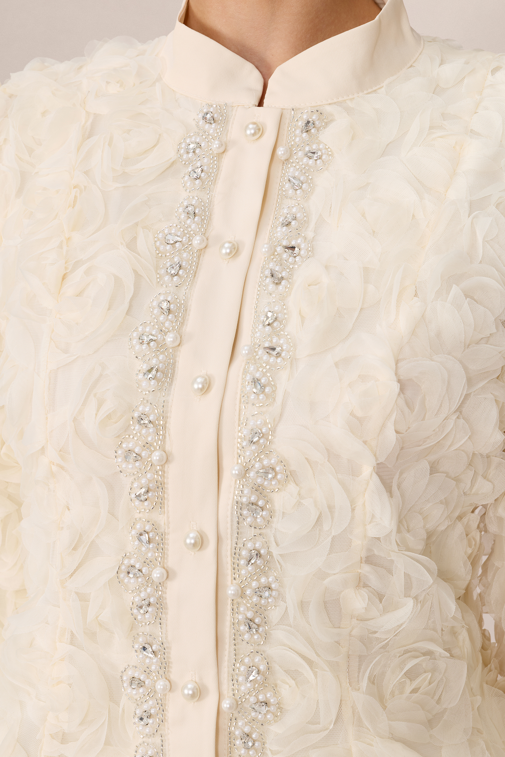 Darling Daydream Beige Rose Applique Top & Pleated Skirt Set