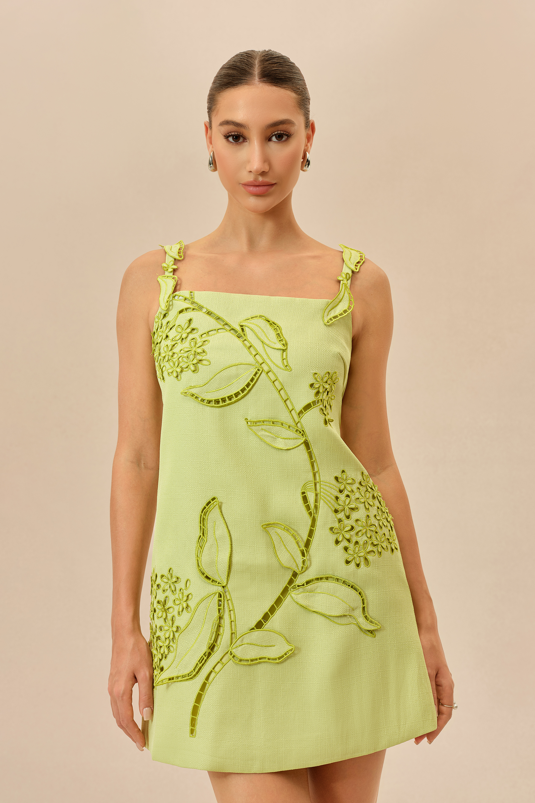 Feeling Fresh Light Green Floral Embroidered Sleeveless Mini Dress