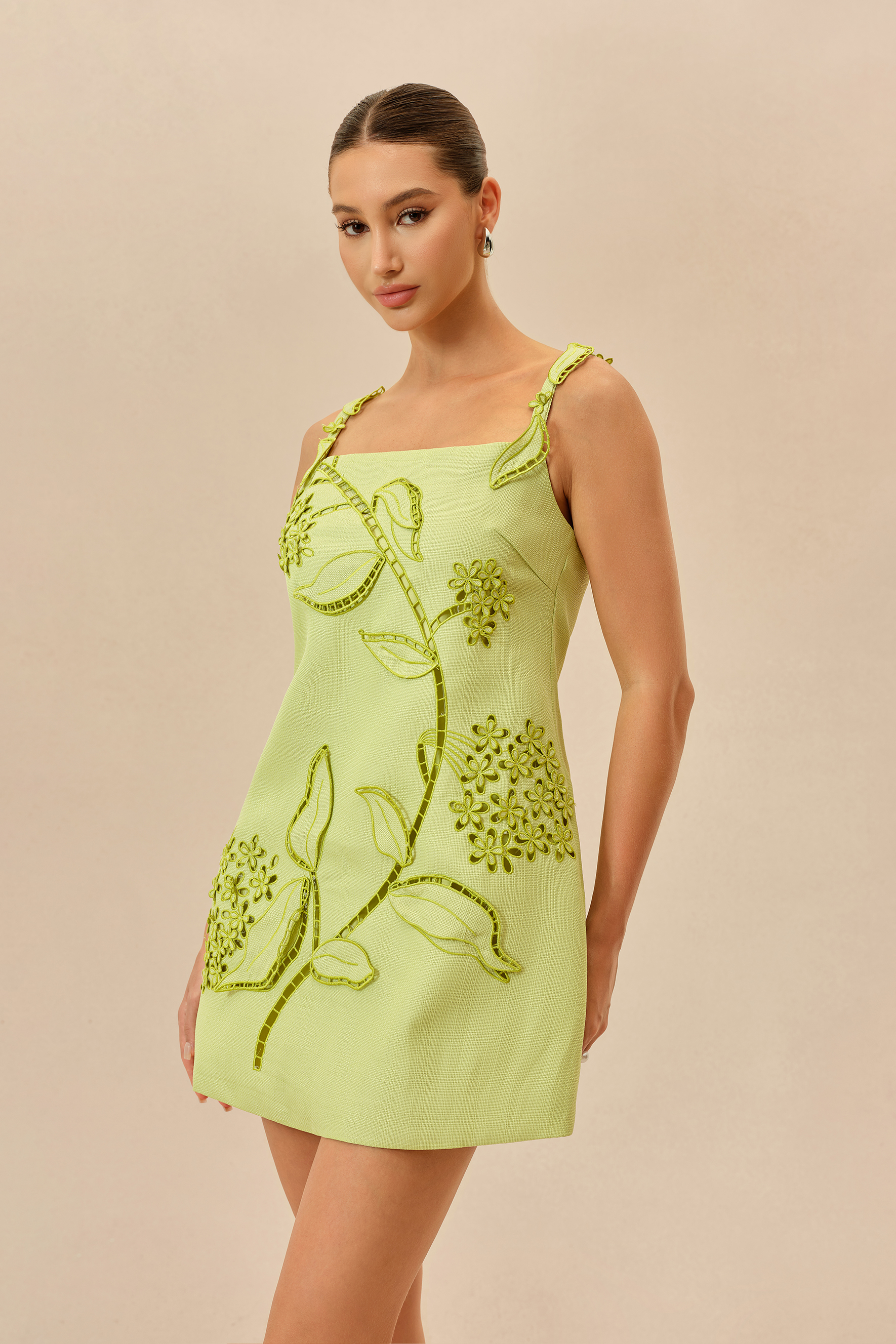 Feeling Fresh Light Green Floral Embroidered Sleeveless Mini Dress