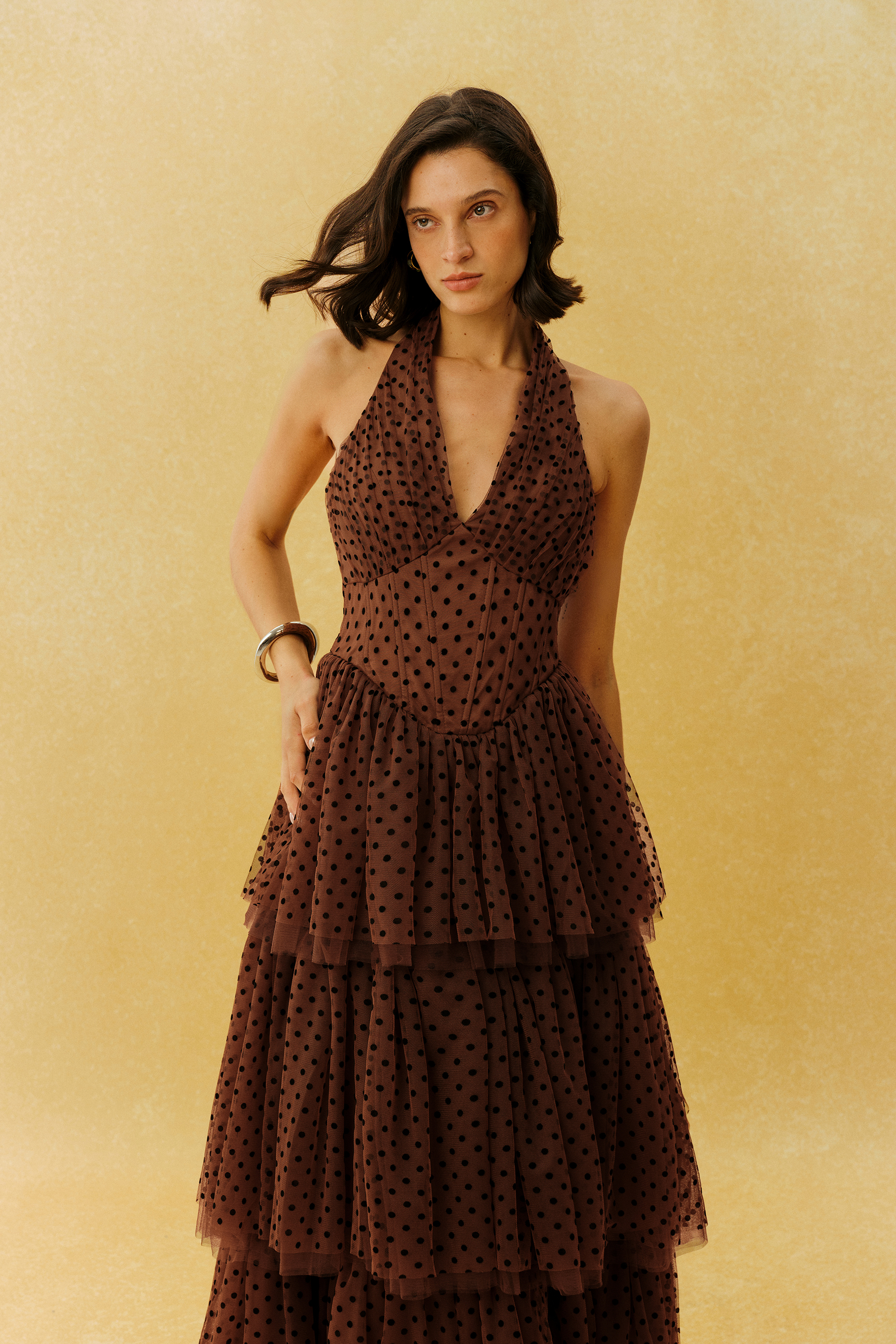 Lasting Allure Brown Polka Dot Halter Neck Tulle Maxi Dress
