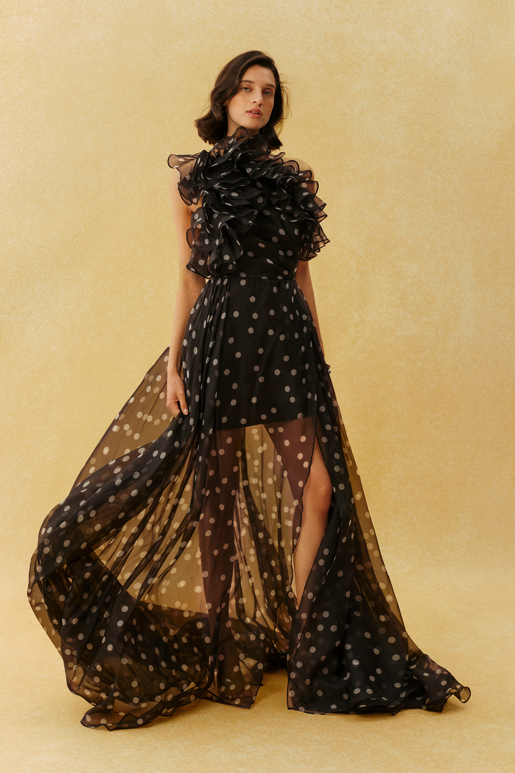 Playful Elegance Black Polka Dot Ruffle Neck Maxi Dress