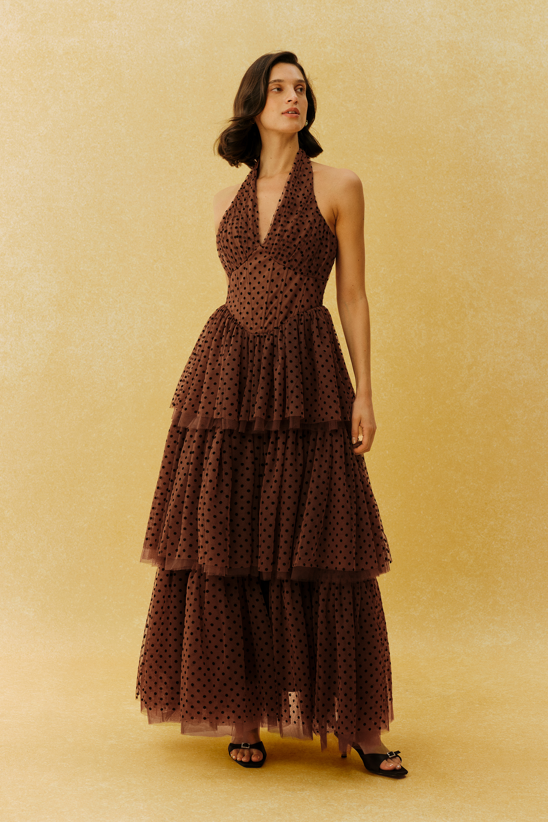 Lasting Allure Brown Polka Dot Halter Neck Tulle Maxi Dress