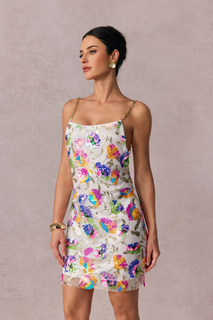 Fanny Embroidered Sequins Backless Mini Dress