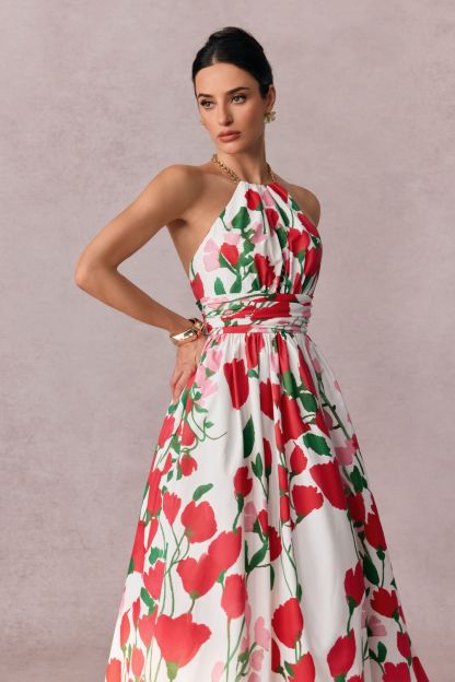 Julia Floral Print Halter Neck Maxi Dress