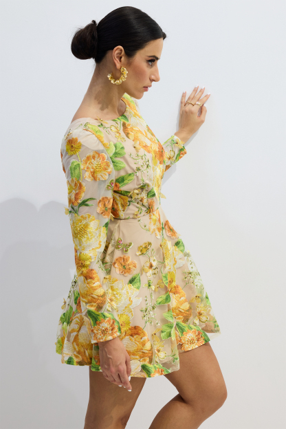 Sandra Floral Embroidery Long Sleeve Mini Dress