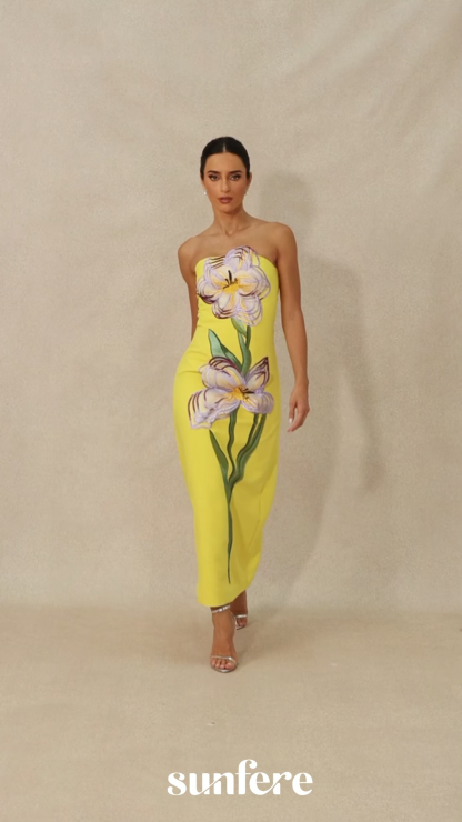 Phoebe Floral Applique Strapless Maxi Dress