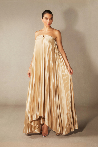 Louisa Strapless Pleated Maxi Dress