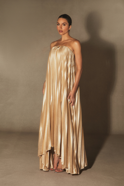 Louisa Strapless Pleated Maxi Dress