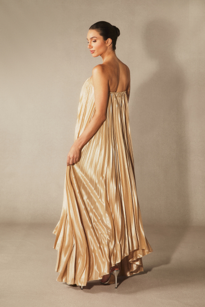 Louisa Strapless Pleated Maxi Dress