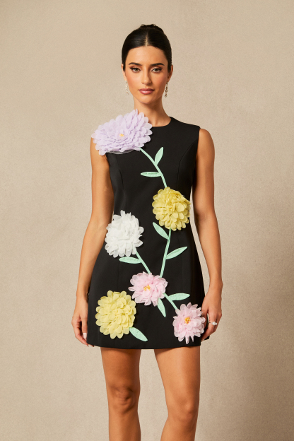 Sibyl Floral Applique Sleeveless Mini Dress