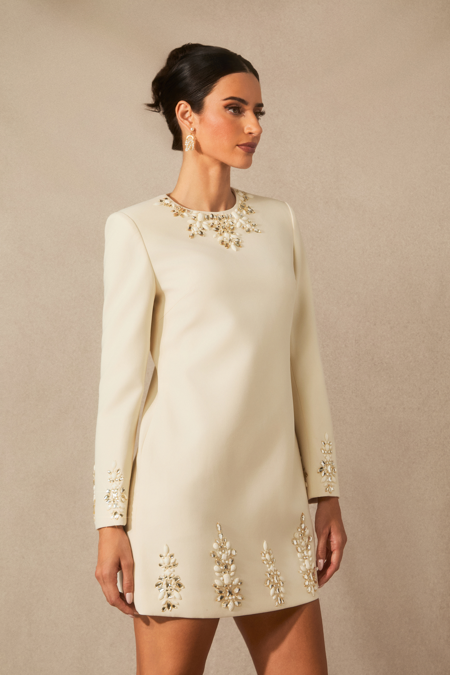 Briana Embellished Neckline Long Sleeve Mini Dress