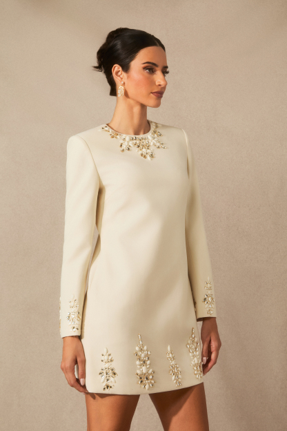 Briana Embellished Neckline Long Sleeve Mini Dress