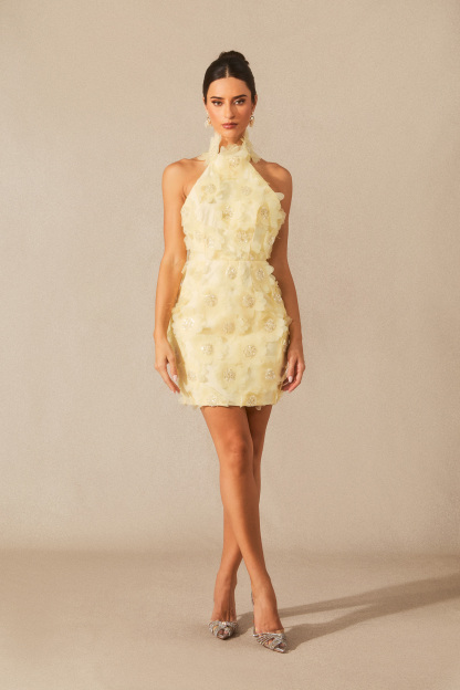 Celeste Halter Neck Floral Embellished Mini Dress