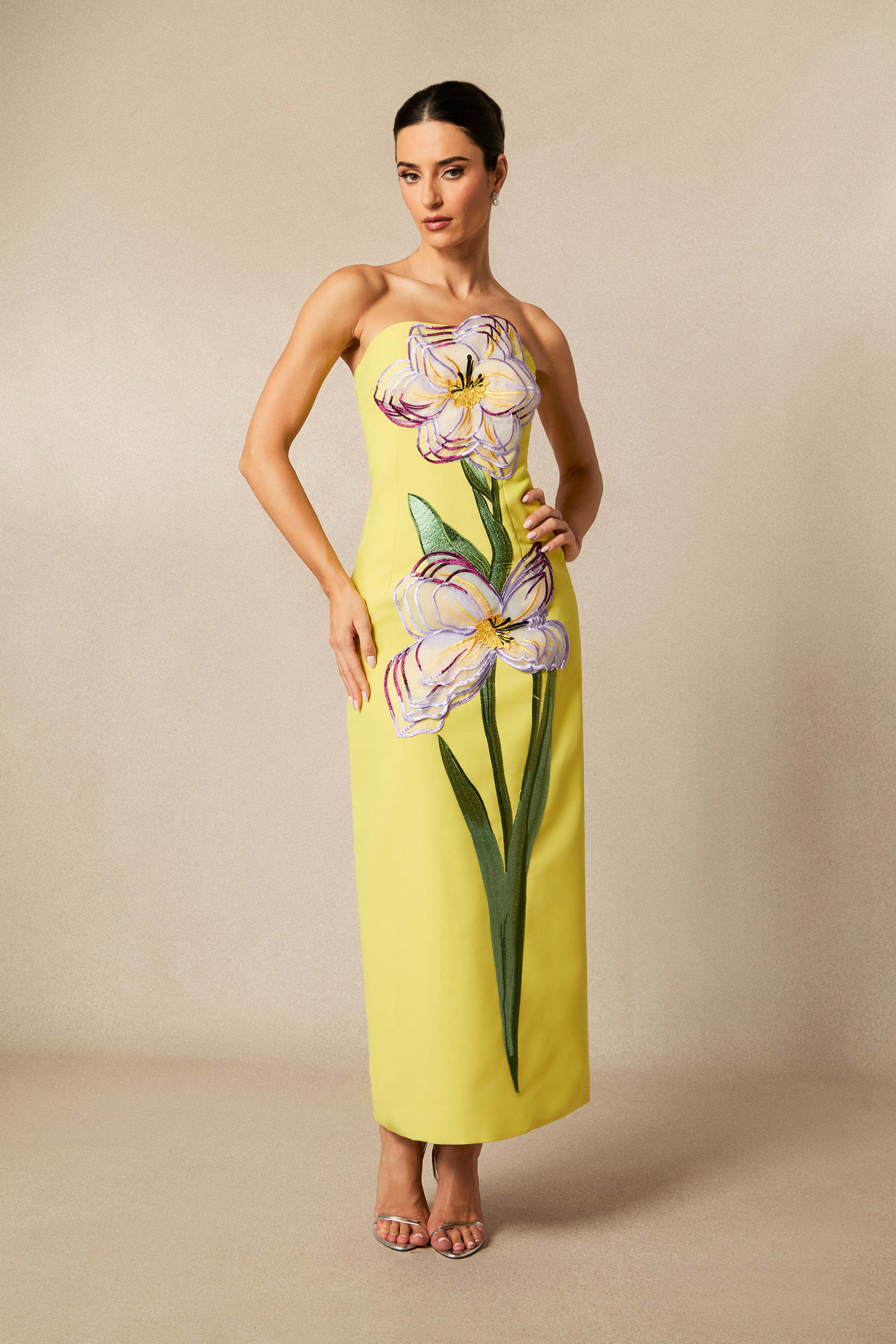Phoebe Floral Applique Strapless Maxi Dress