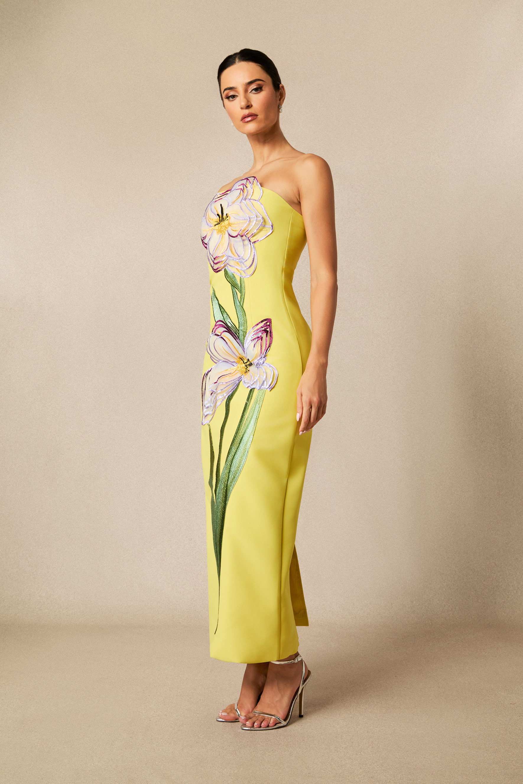 Phoebe Floral Applique Strapless Maxi Dress