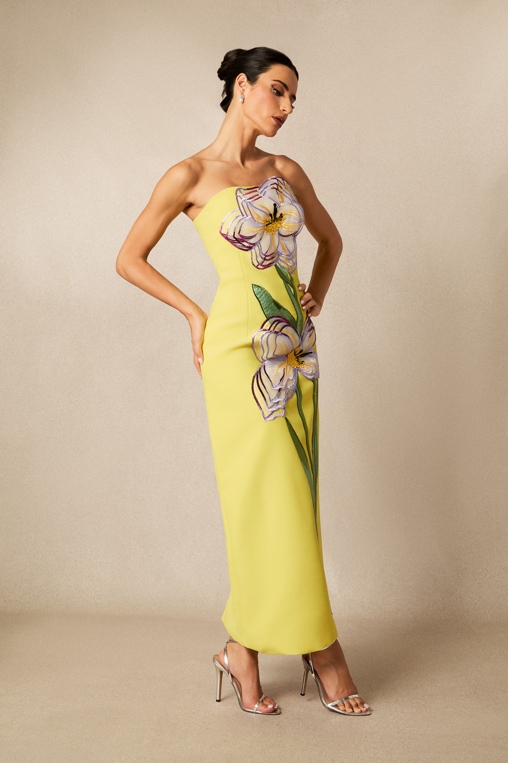 Phoebe Floral Applique Strapless Maxi Dress