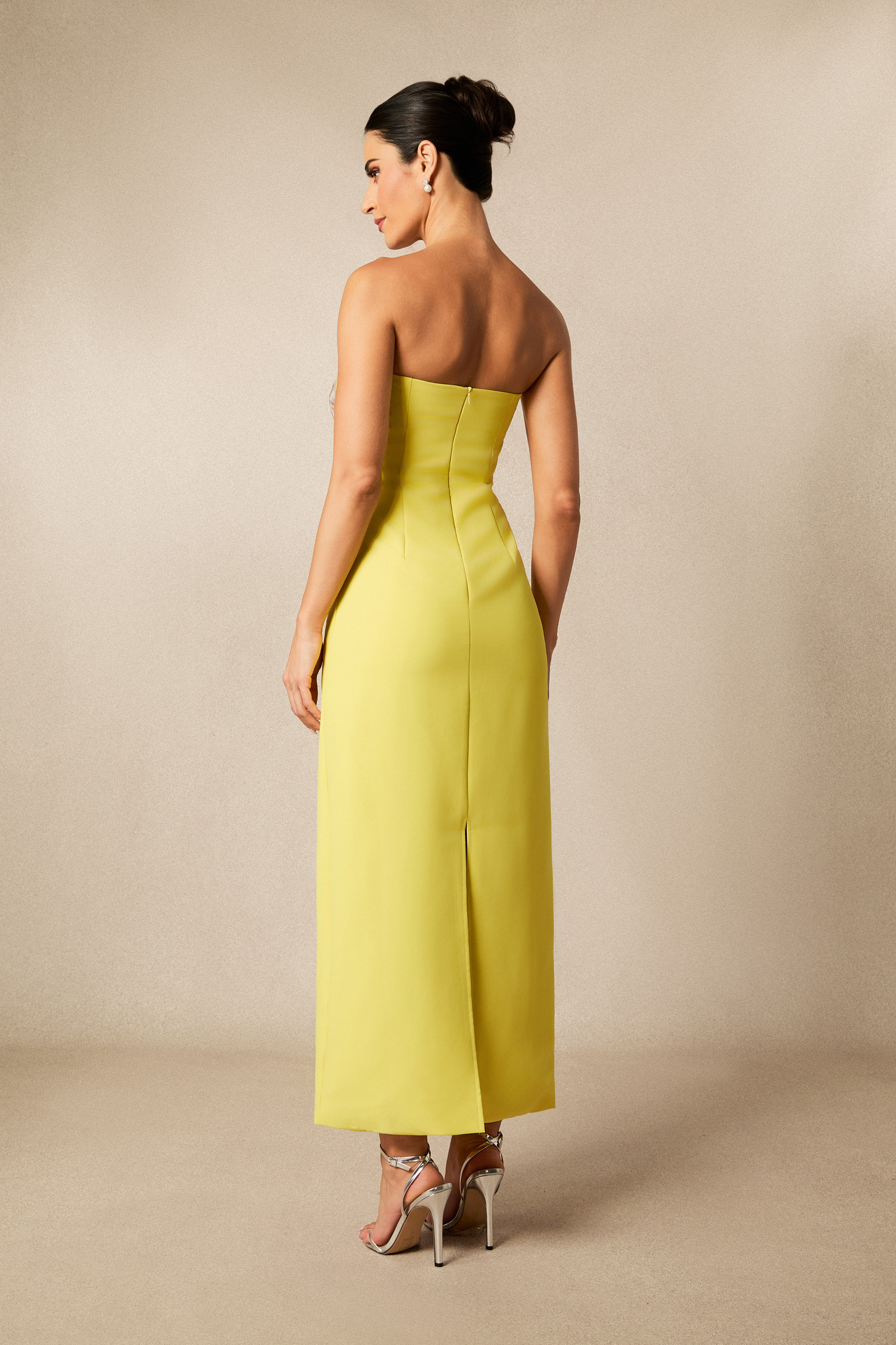 Phoebe Floral Applique Strapless Maxi Dress