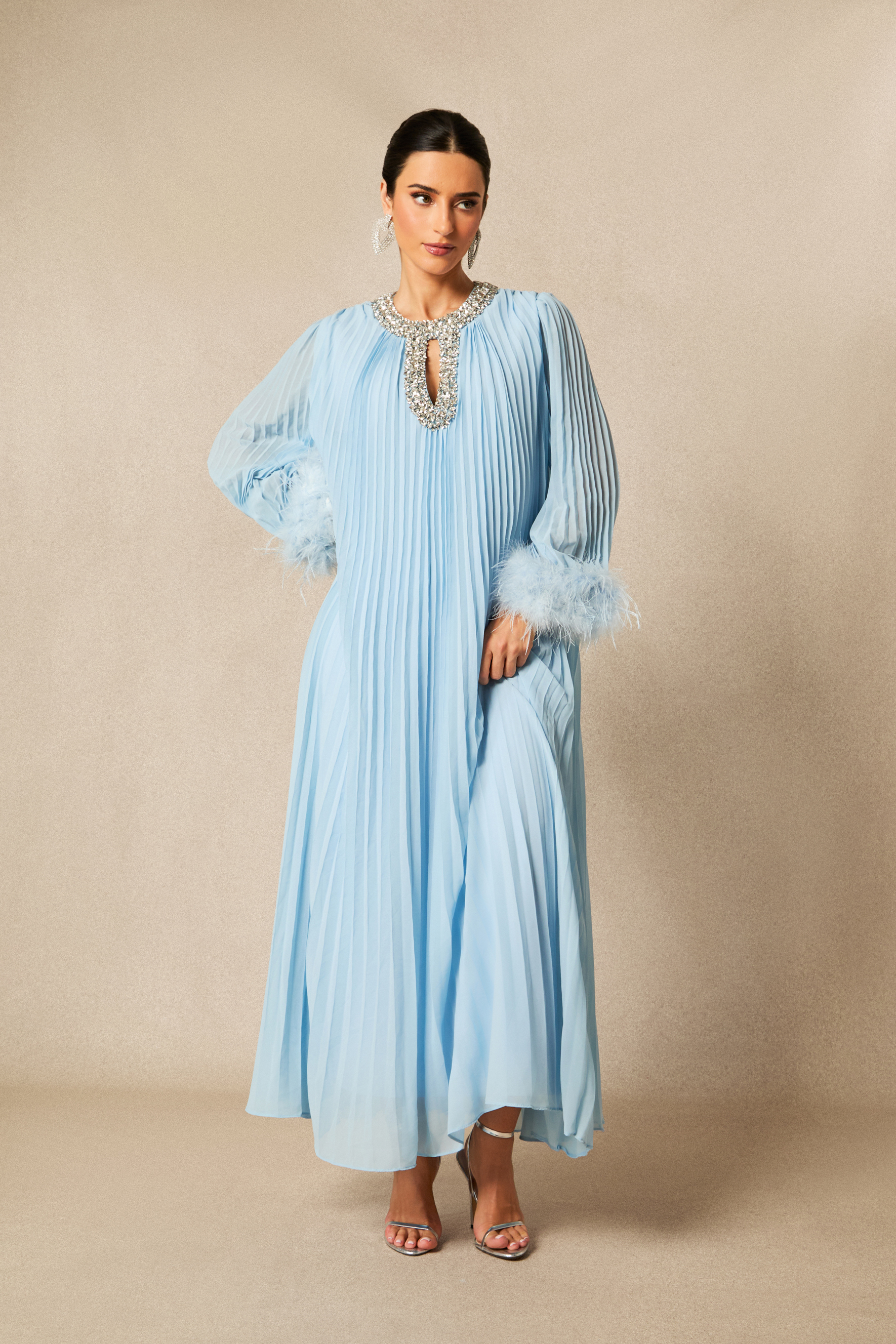 Yvonne Diamante Feathered Pleated Maxi Chiffon Dress