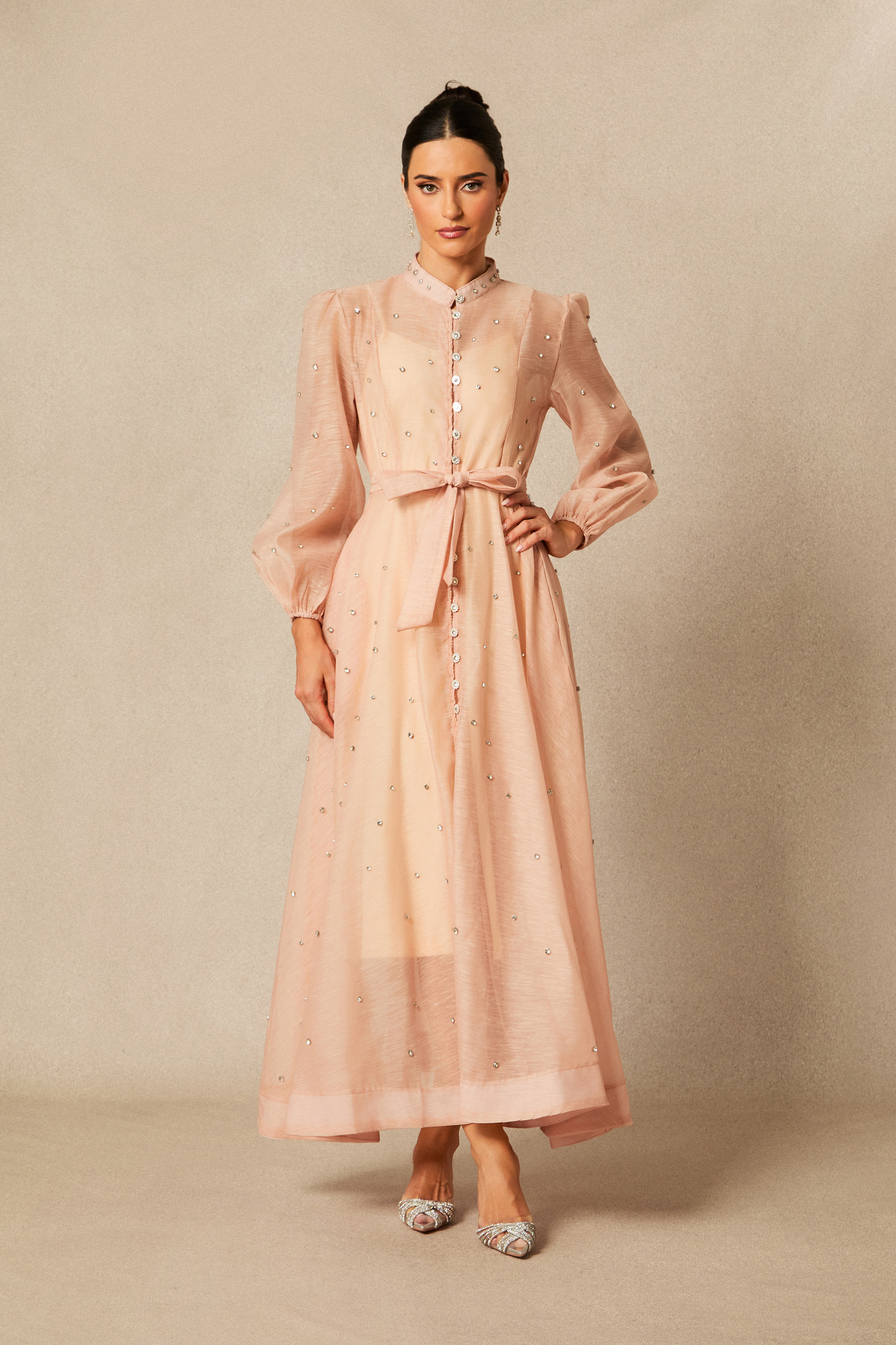 Emelia Crystal Embellished Sheer Maxi Dress