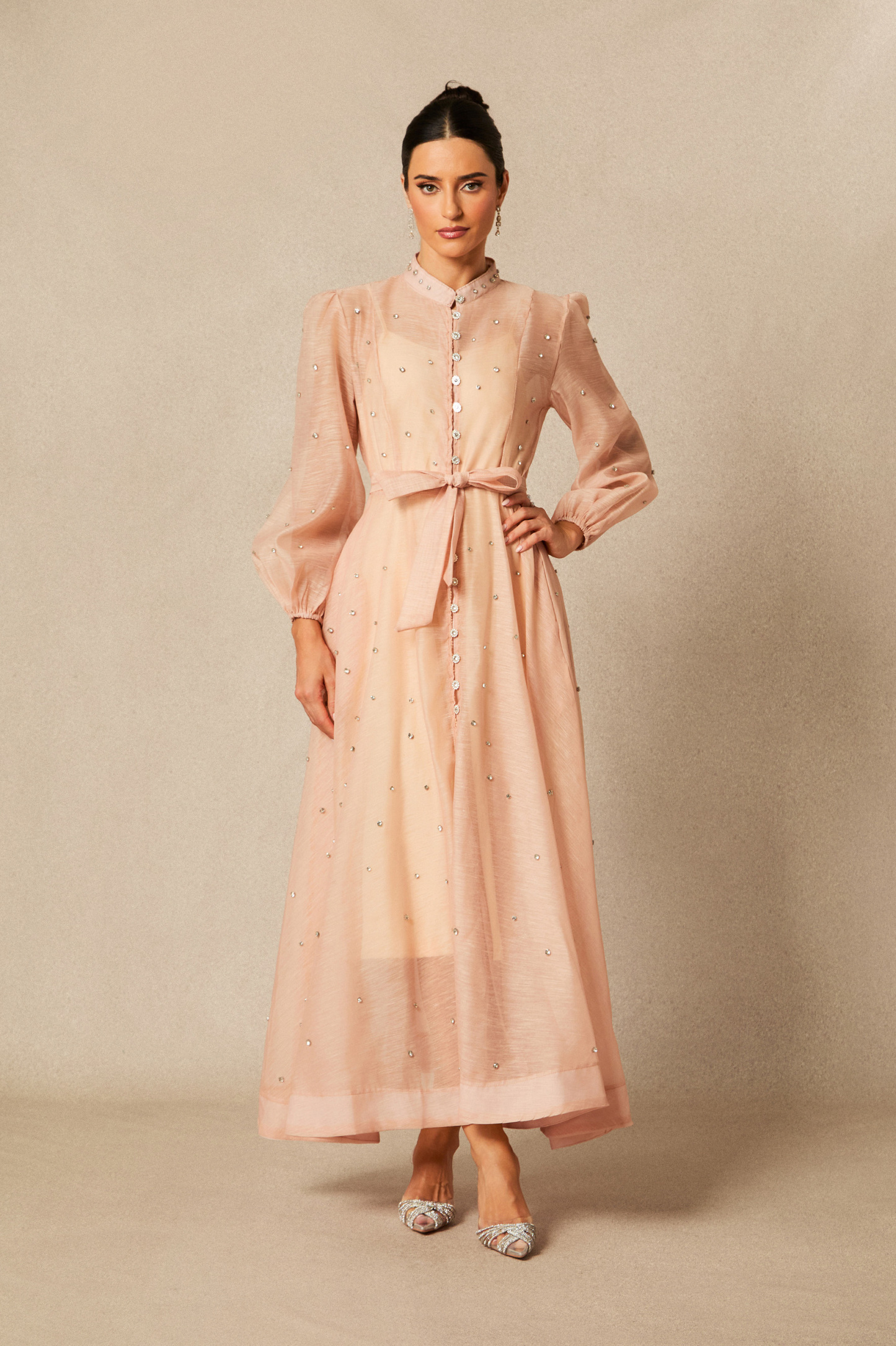 Emelia Crystal Embellished Sheer Maxi Dress