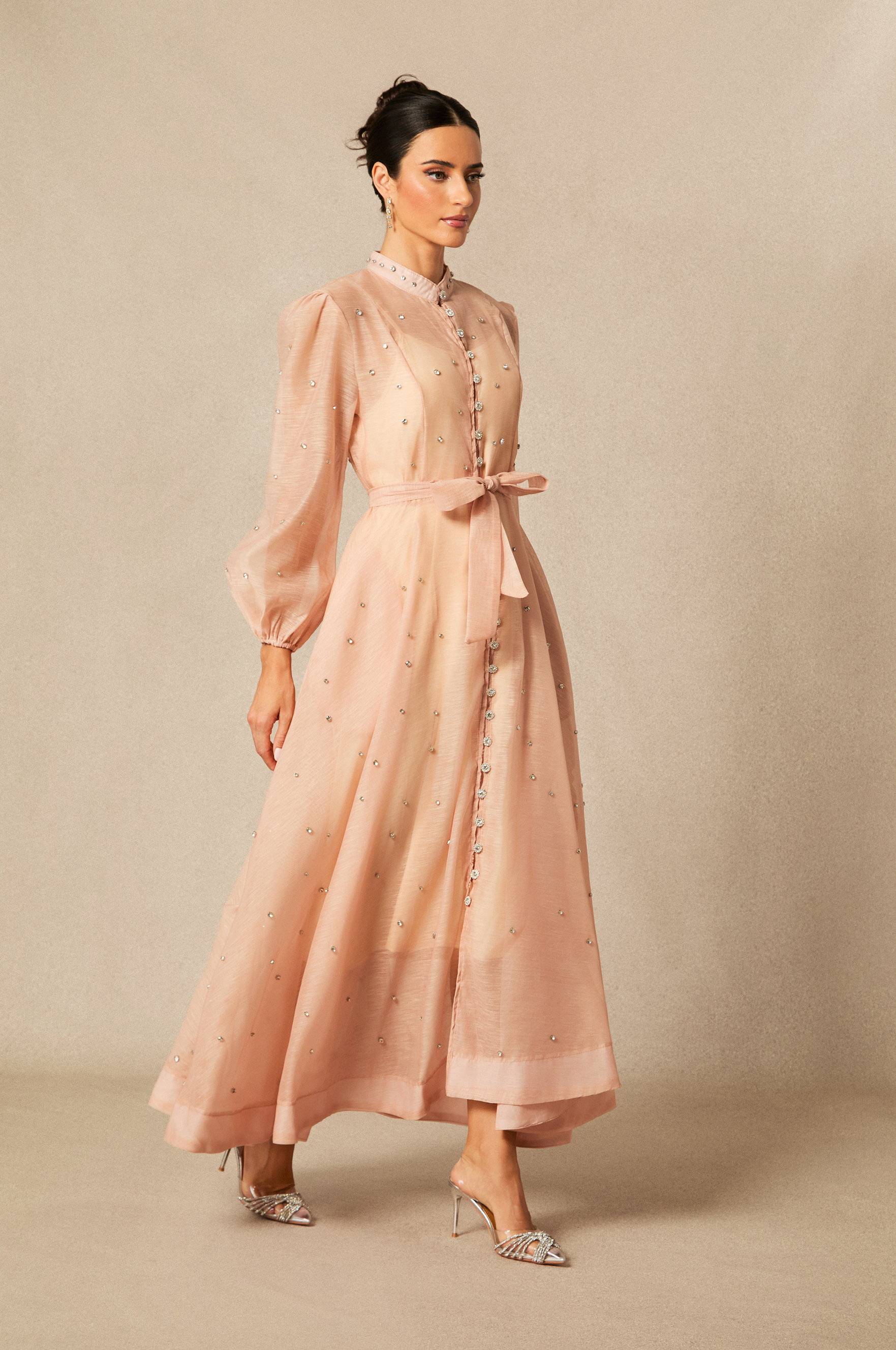 Emelia Crystal Embellished Sheer Maxi Dress