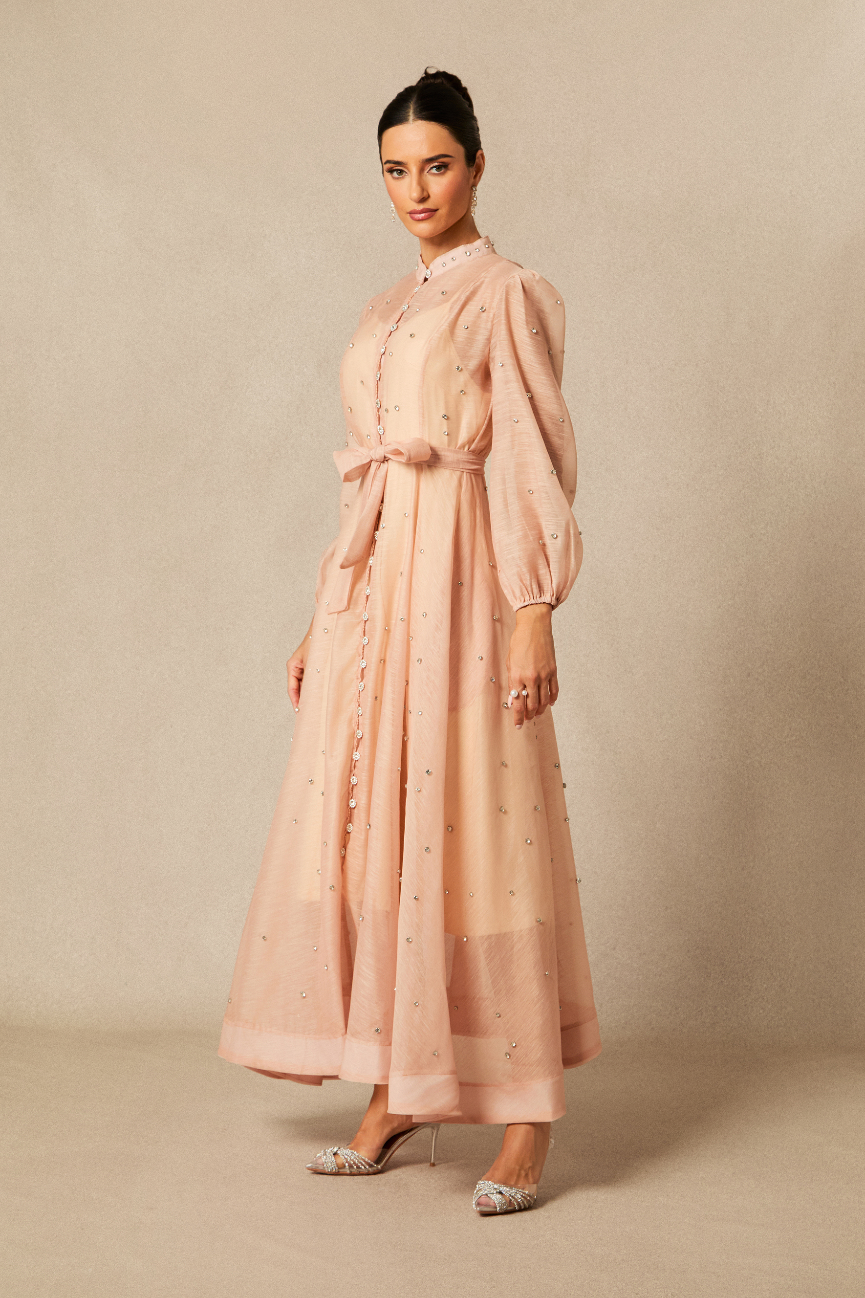 Emelia Crystal Embellished Sheer Maxi Dress