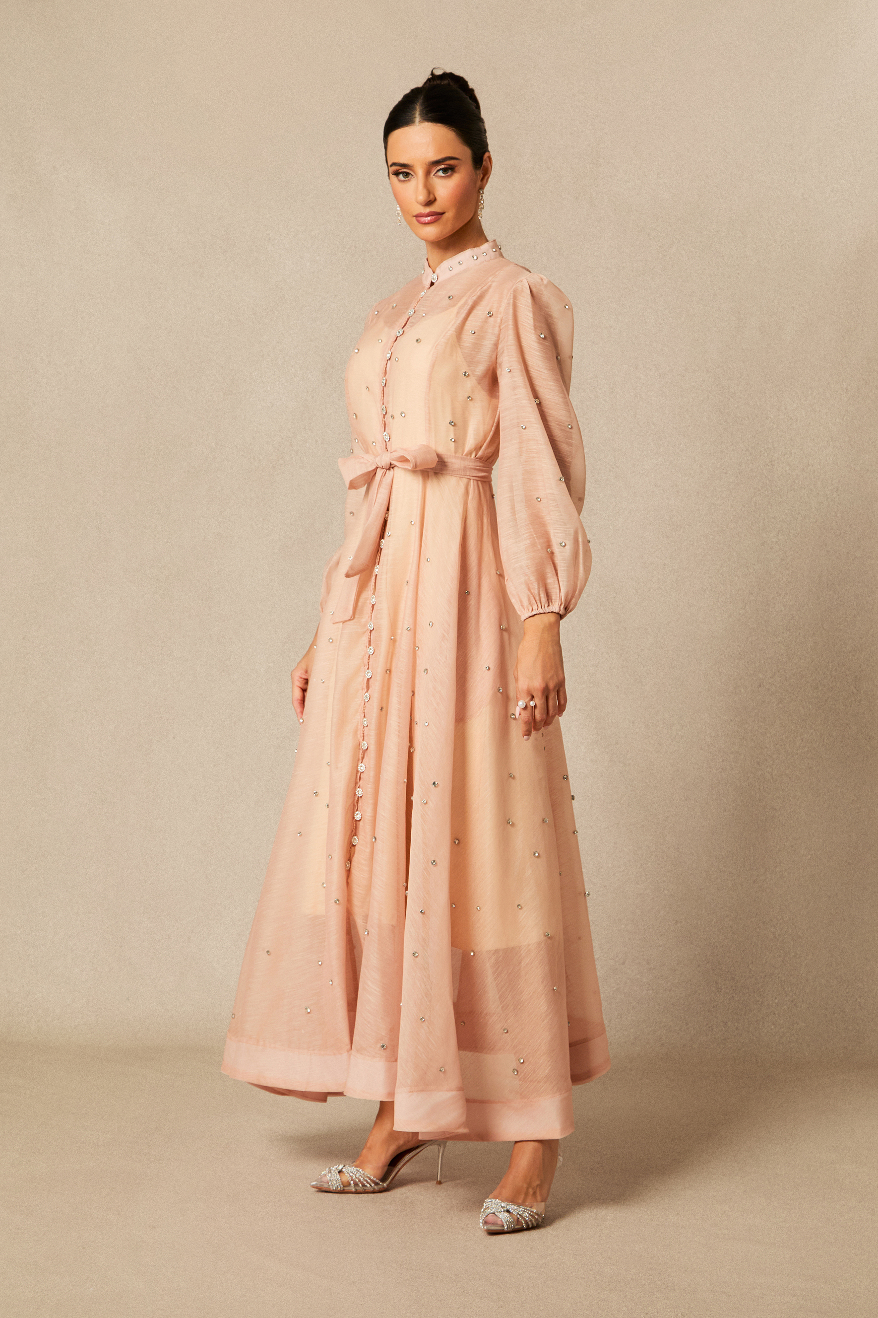 Emelia Crystal Embellished Sheer Maxi Dress